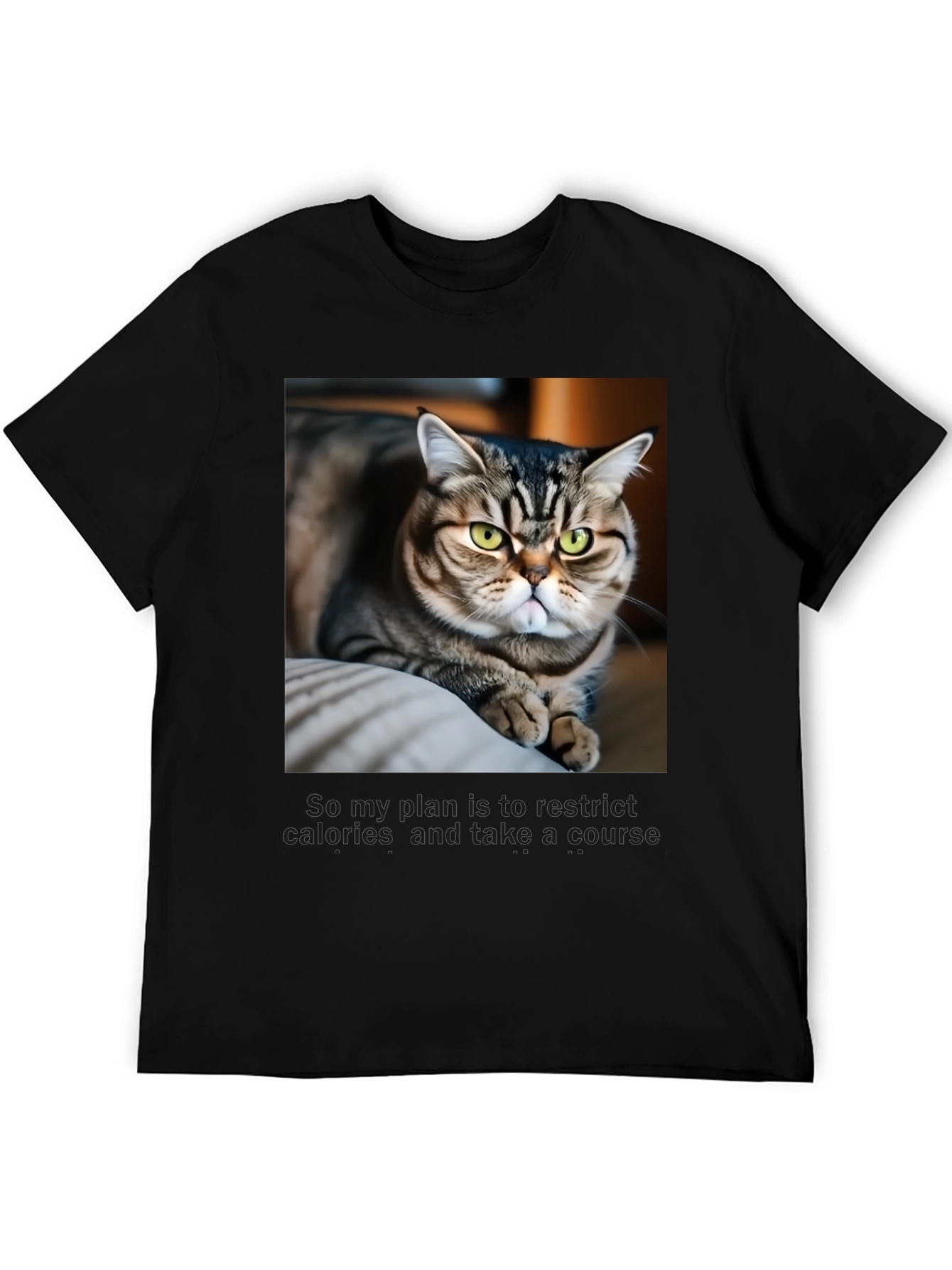Black Funny Cat Graphic T-Shirt - Unisex Black Tee view 5