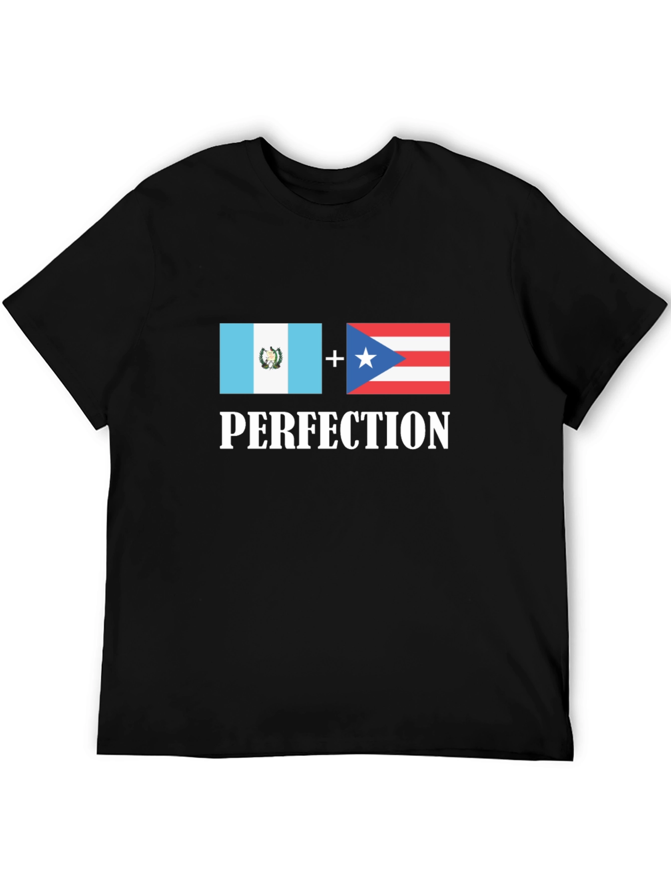 Black Guatemala Puerto Rico Perfection T-Shirt view 5