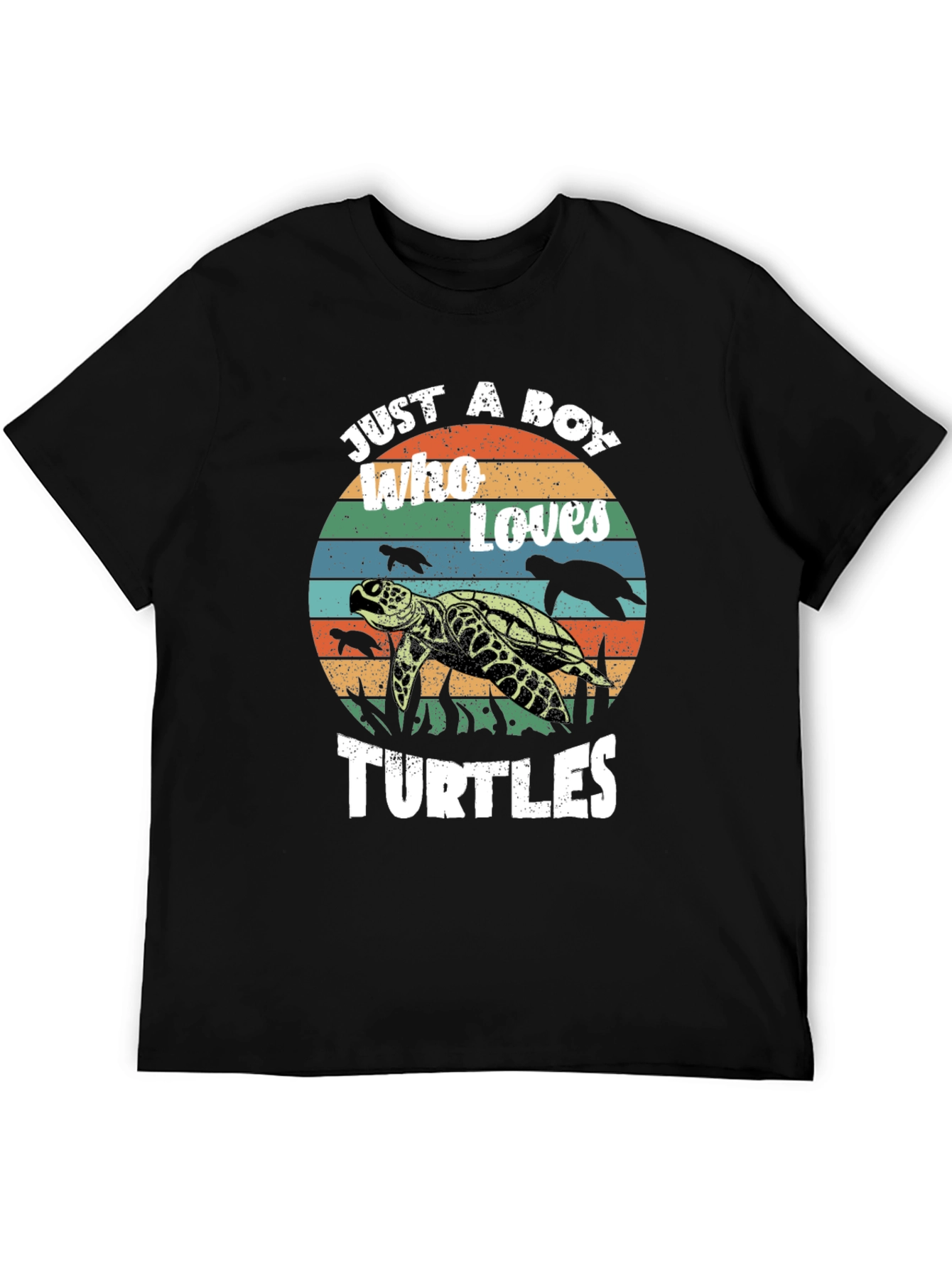 Black Just a Boy Who Loves Turtles Graphic Tee view 5