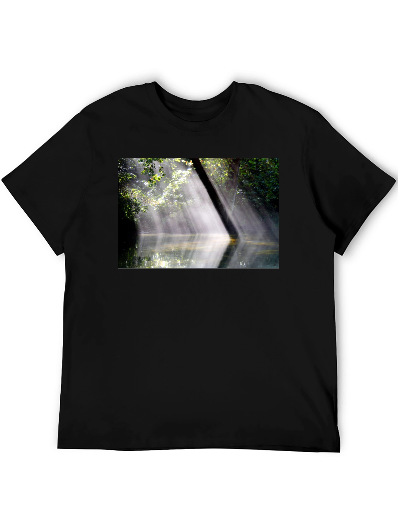 Black Nature's Embrace Tee - Sunlit Forest Design view 5