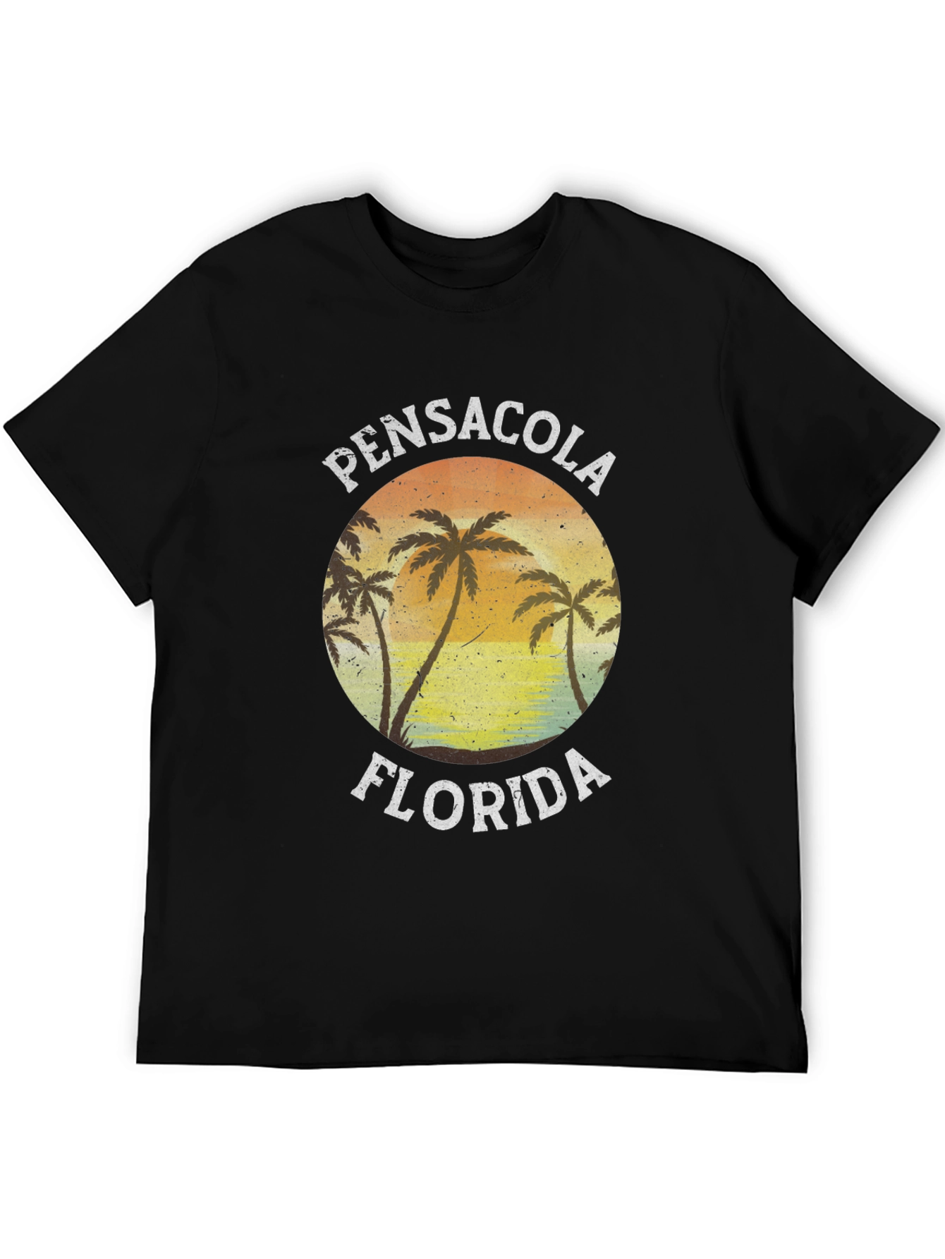 Black Pensacola Florida Graphic T-Shirt view 5