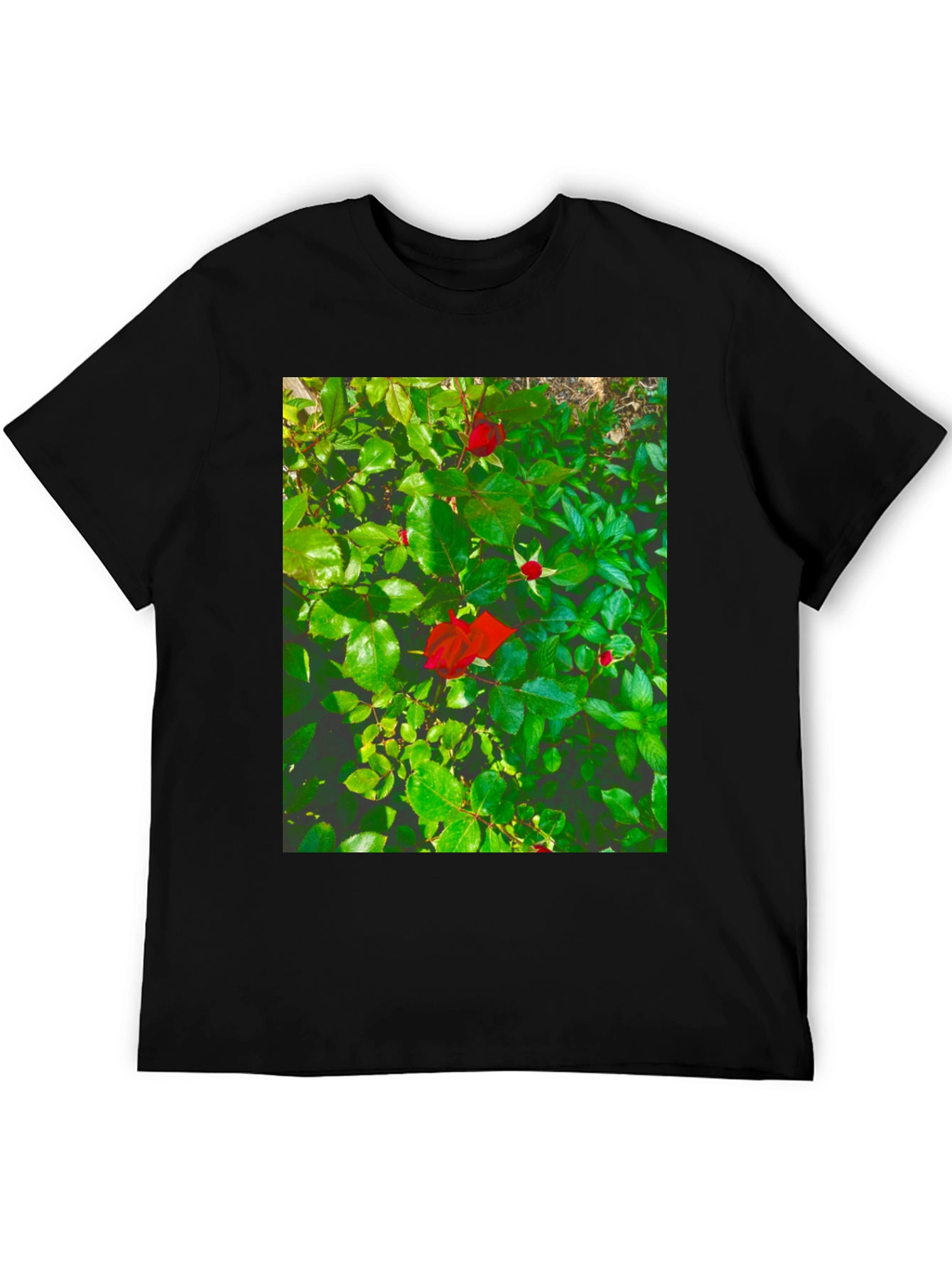 Black Rose Bush Graphic Tee - Nature Inspired Black T-Shirt view 5