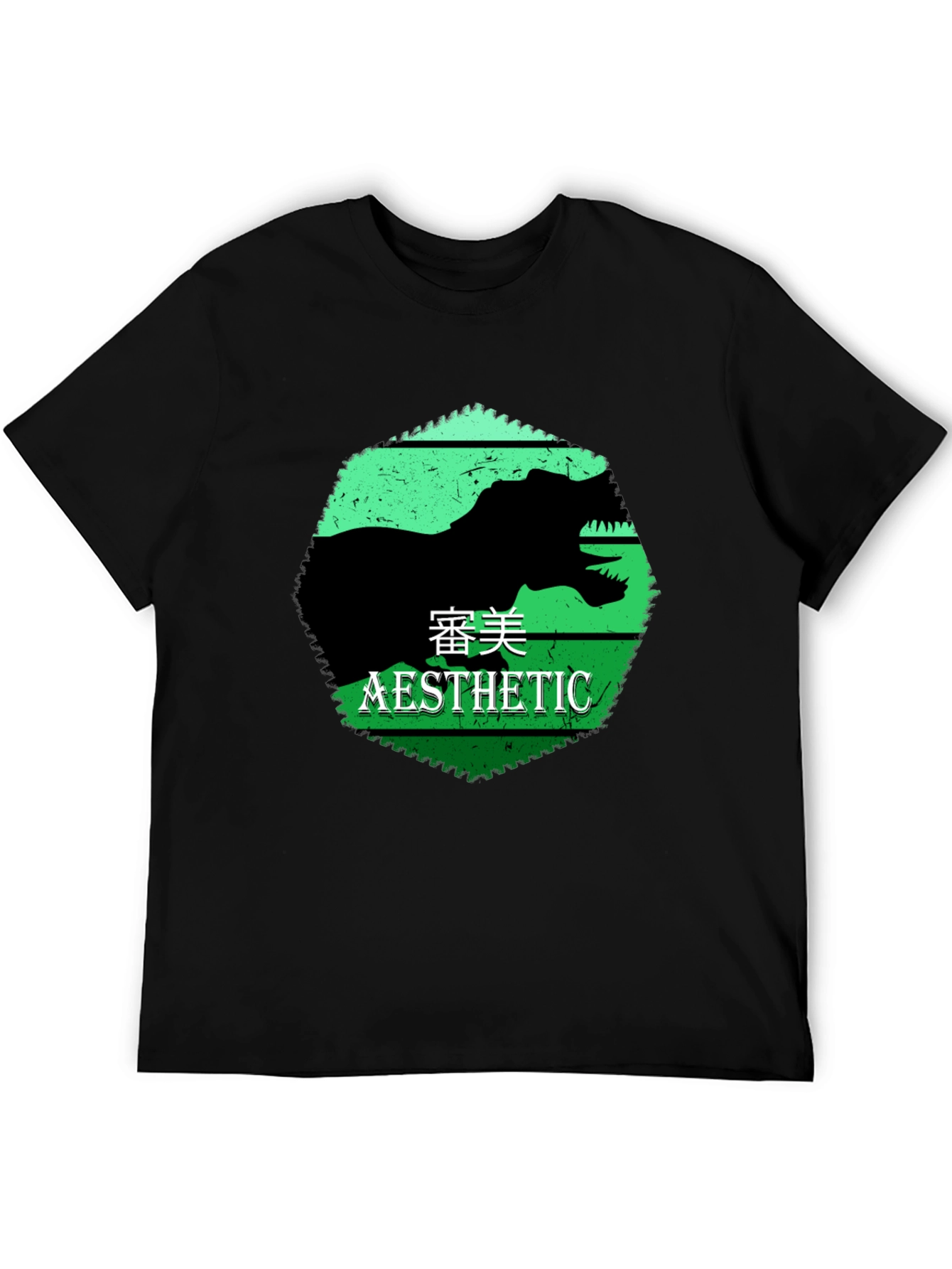 Black Aesthetic Dinosaur Graphic Tee view 5