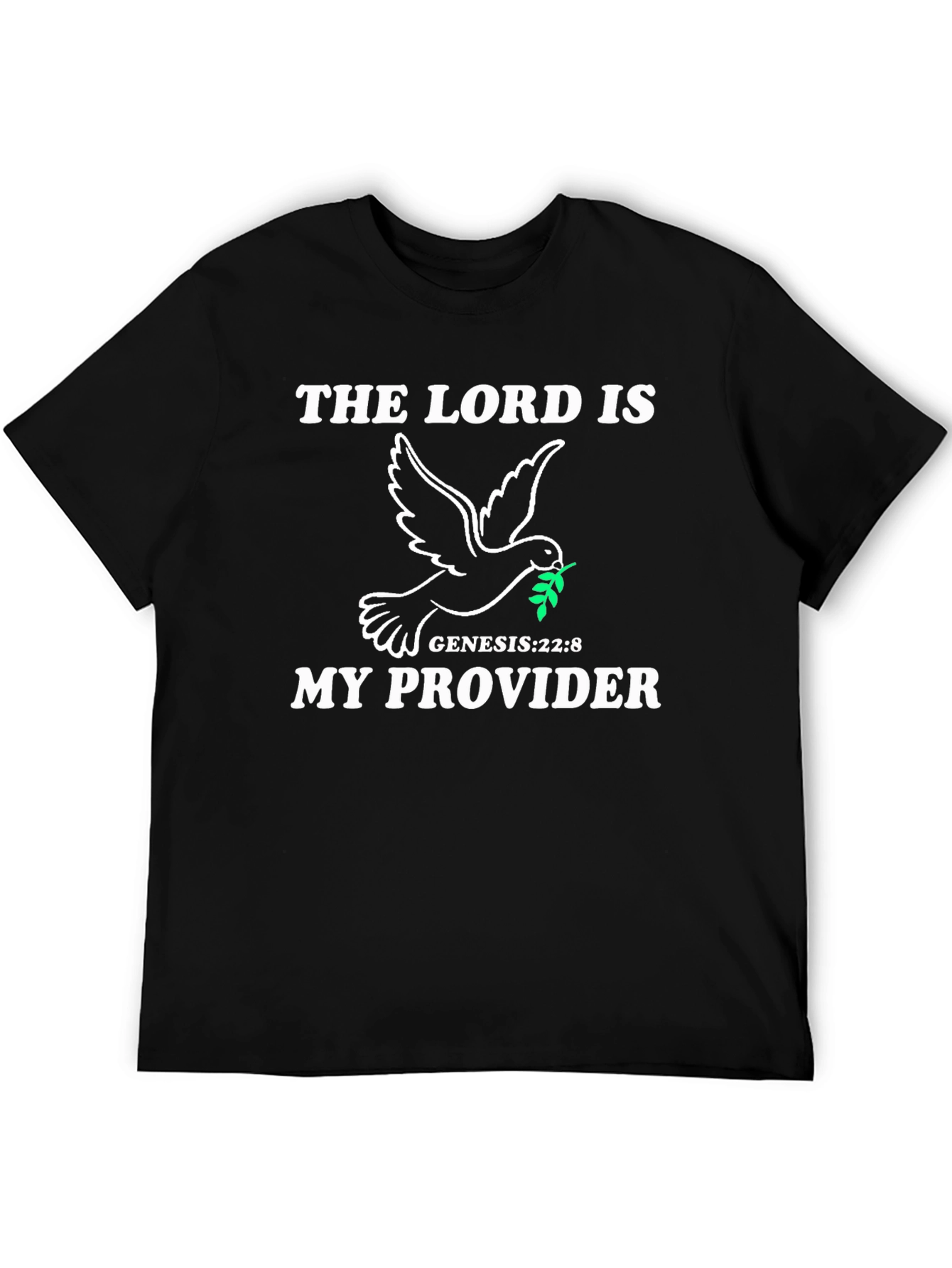 Black The Lord Is My Provider Graphic T-Shirt view 5