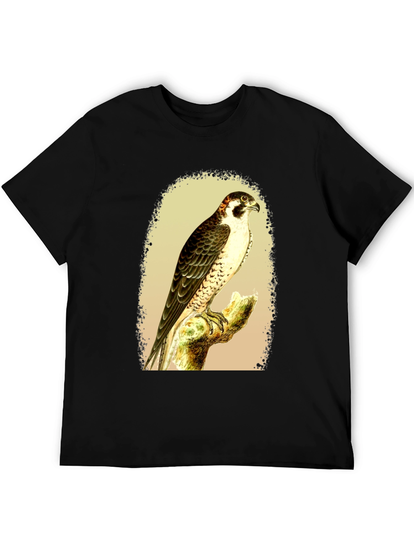 Black Falcon Graphic Tee - Vintage Bird Illustration T-Shirt view 5