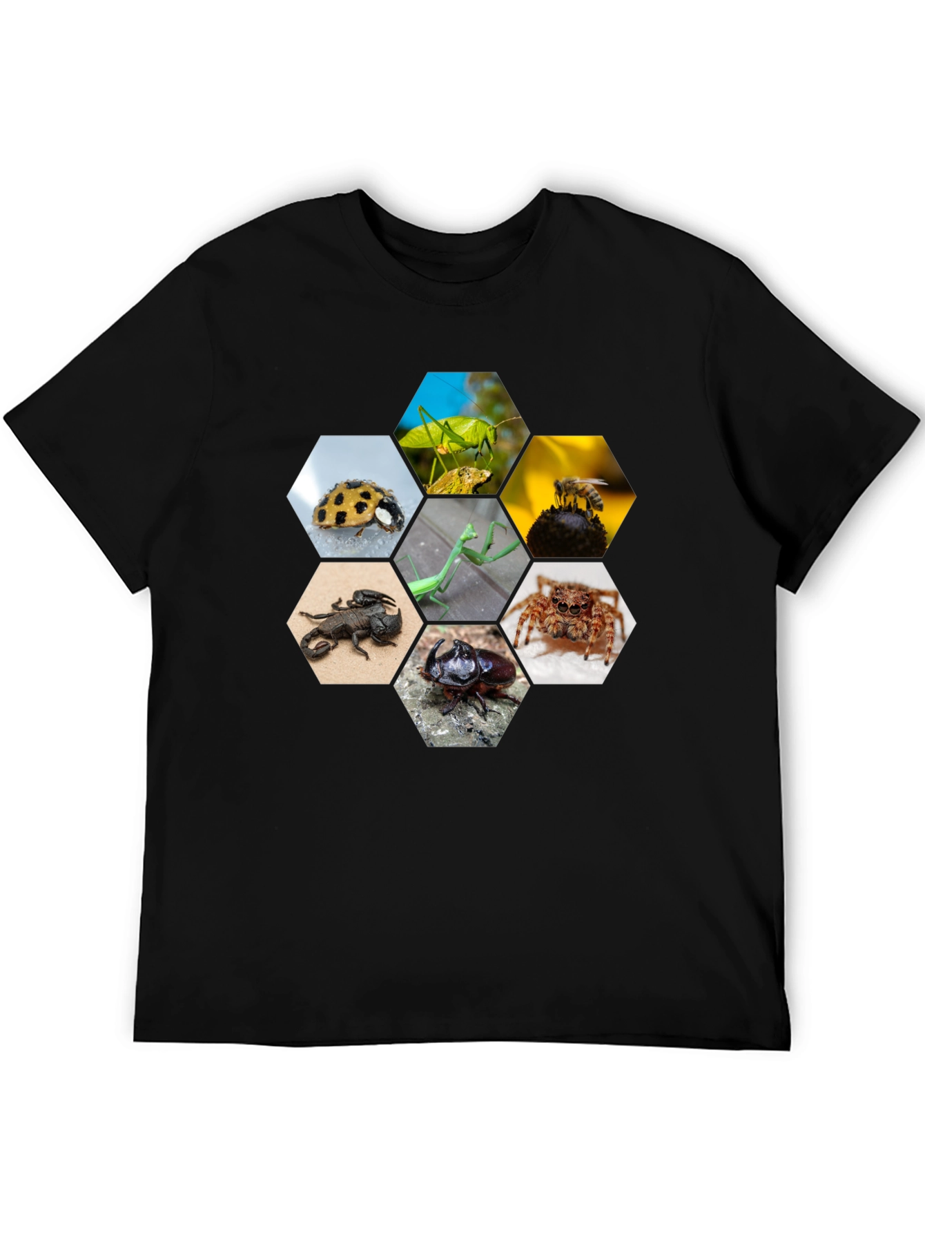 Black Insect Hexagon T-Shirt - Unique Nature Design view 5
