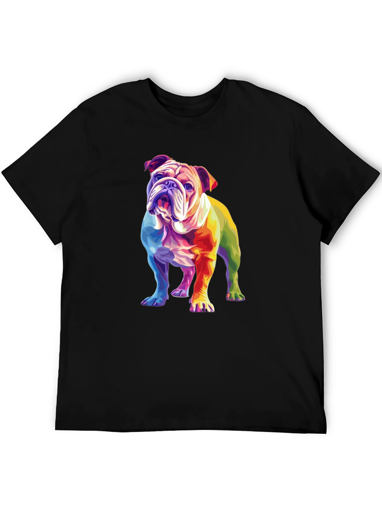 Black Rainbow Bulldog Graphic T-Shirt view 5
