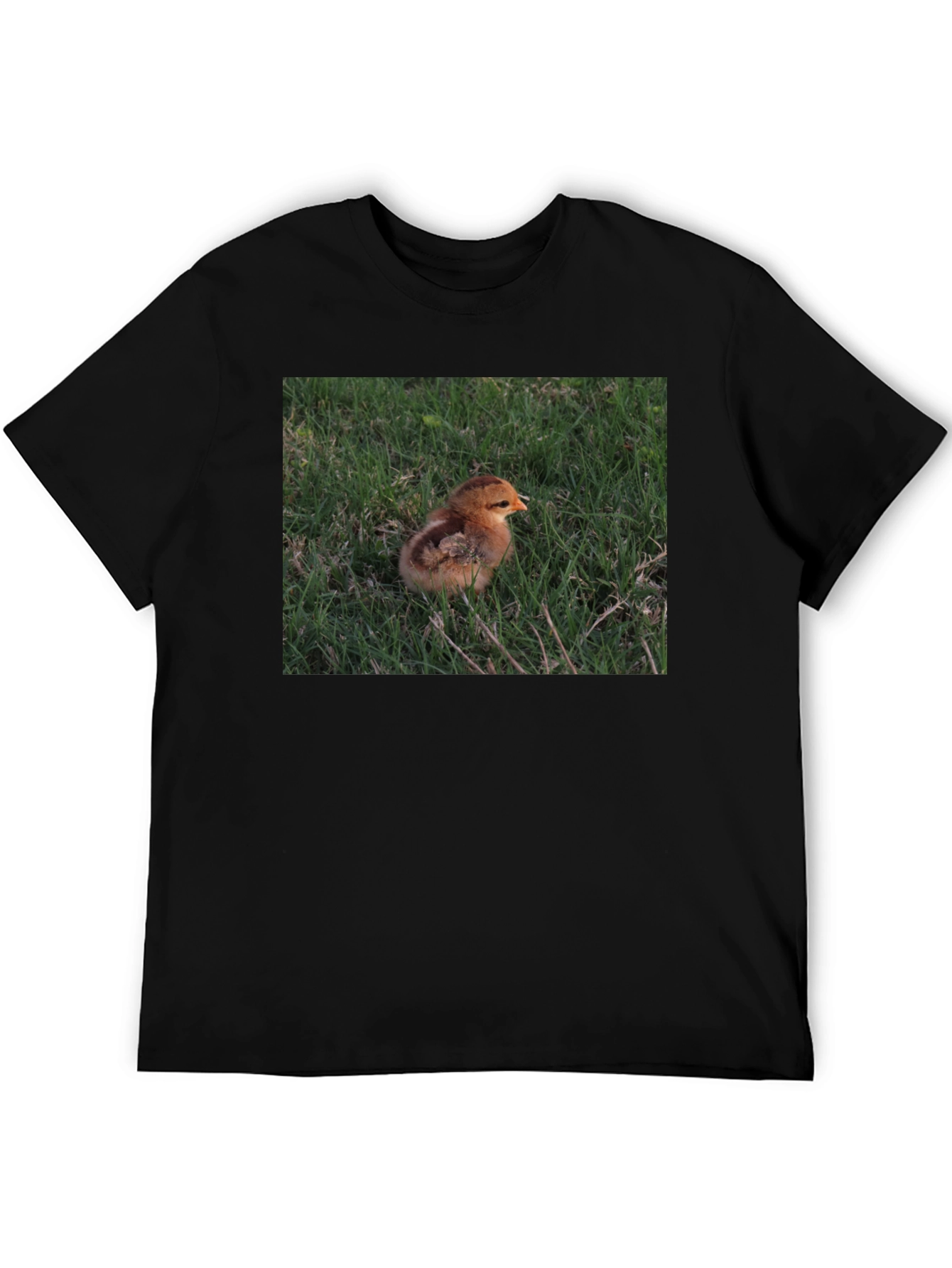 Black Cute Chick in Grass Graphic T-Shirt view 5