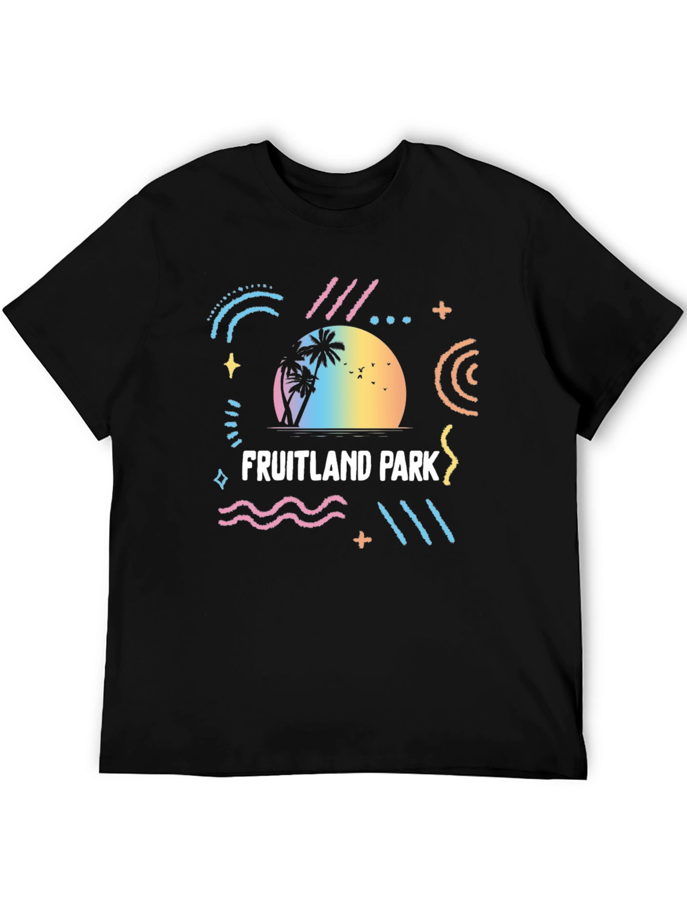 Black Fruitland Park Retro Graphic T-Shirt view 5