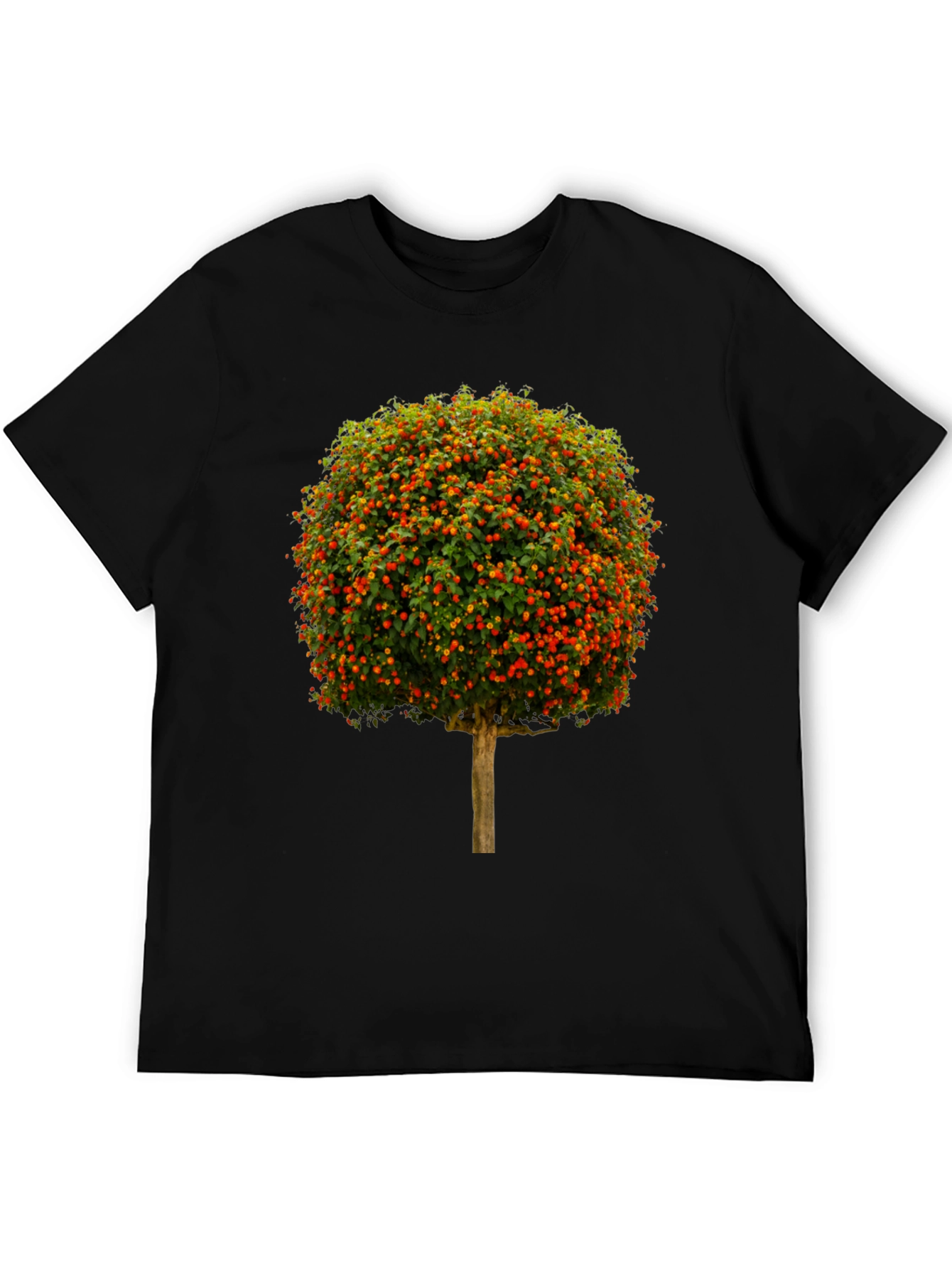 Black Botanical Tree Graphic T-Shirt view 5