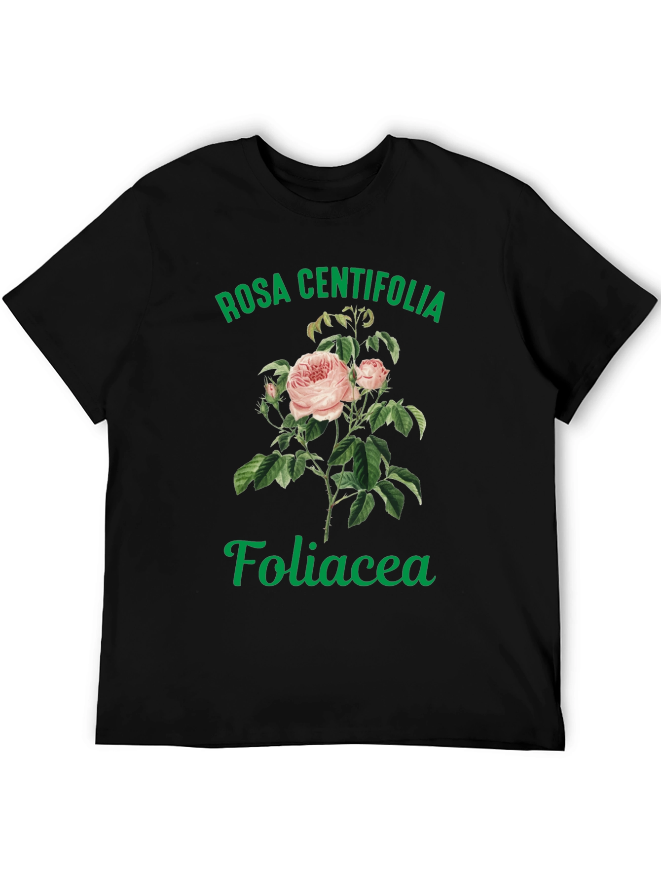 Black Rosa Centifolia Foliacea Graphic Tee view 5