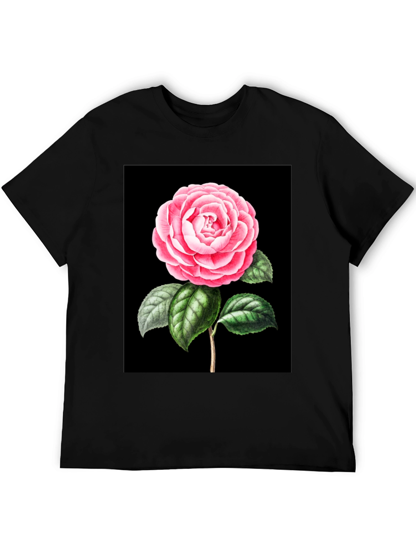 Black Elegant Rose Graphic Tee - Black Cotton Blend view 5