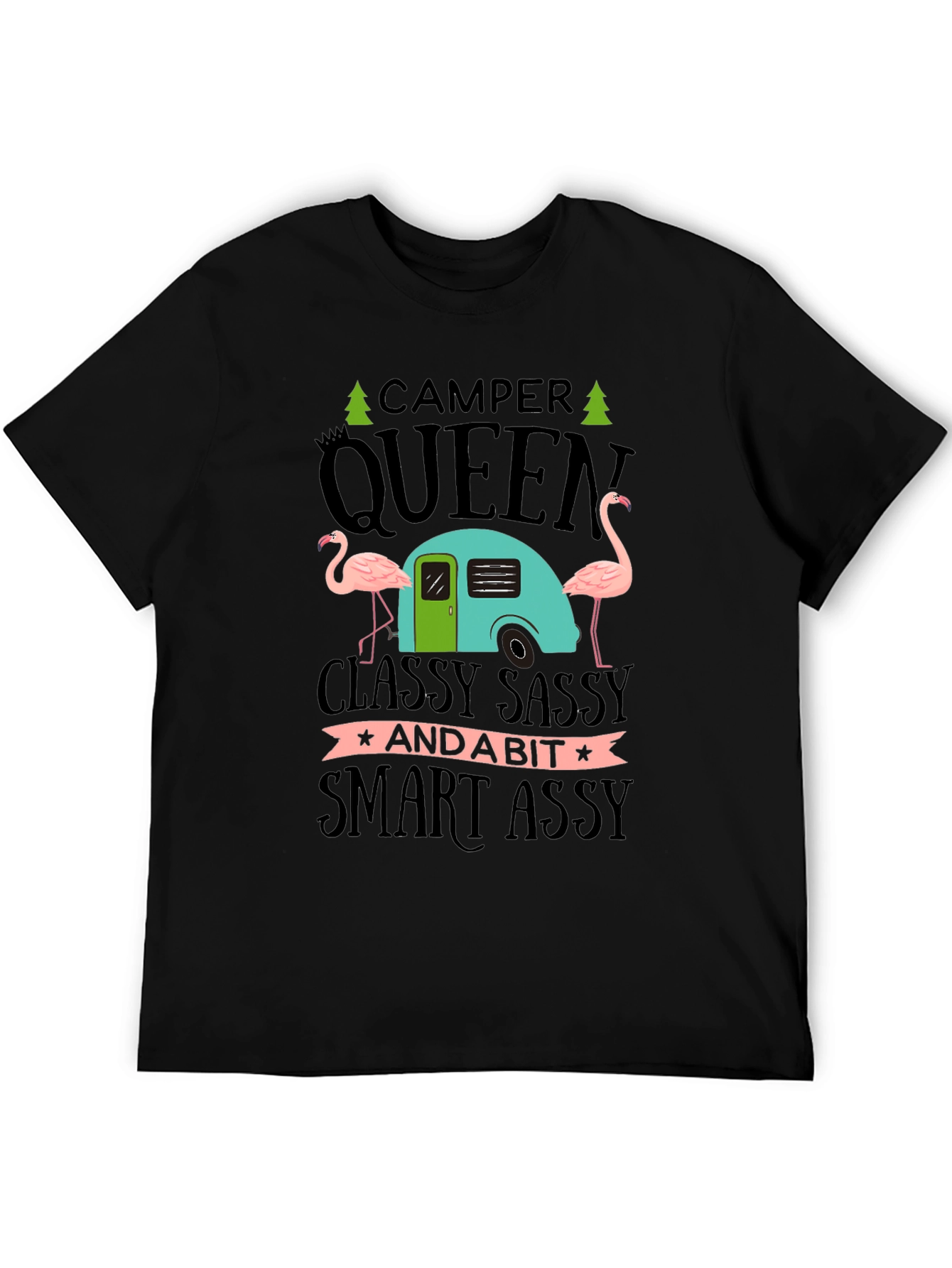 Black Camper Queen Flamingo Graphic T-Shirt view 5
