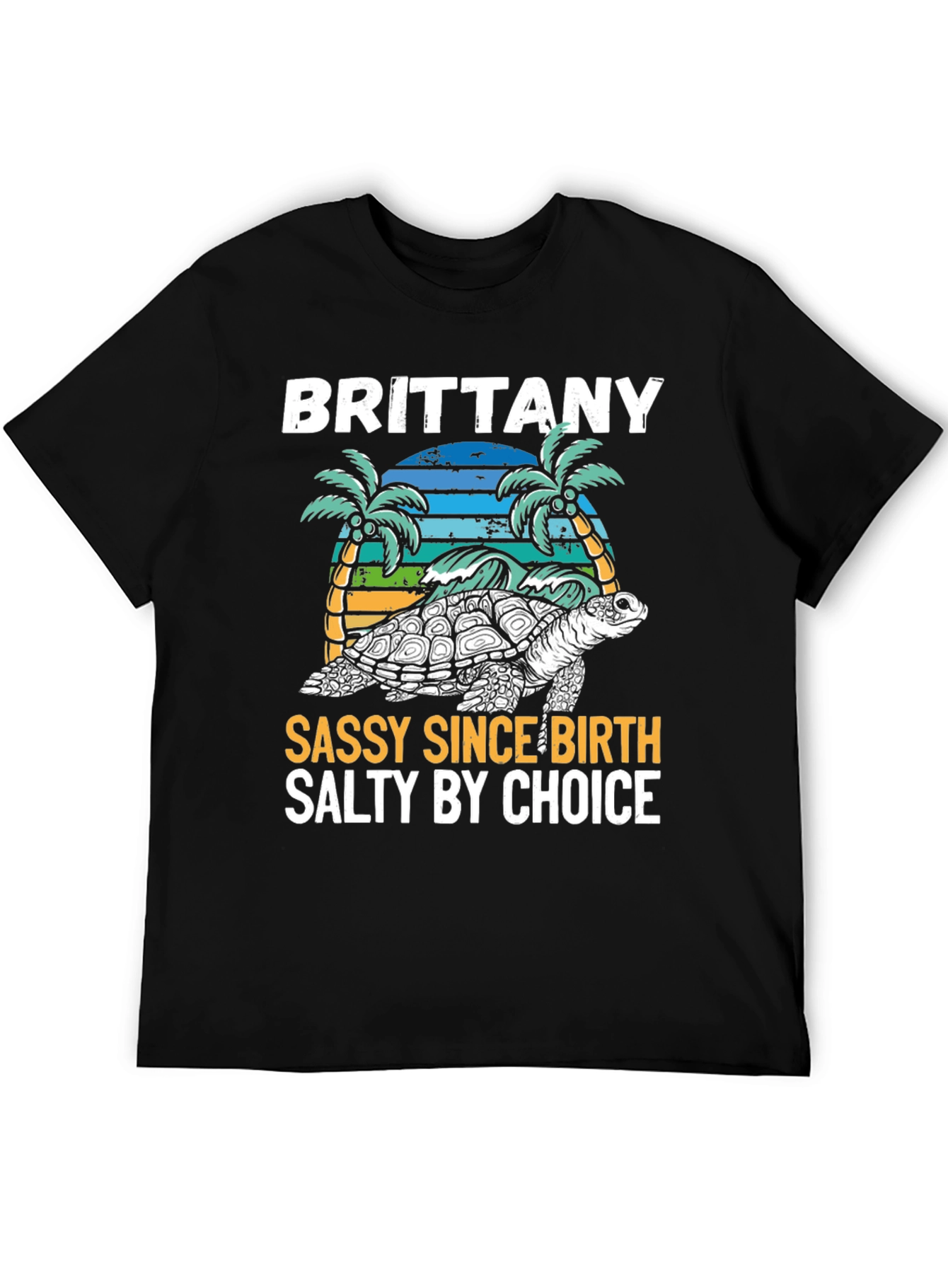 Brittany Turtle Sassy & Salty Graphic Tee - 5