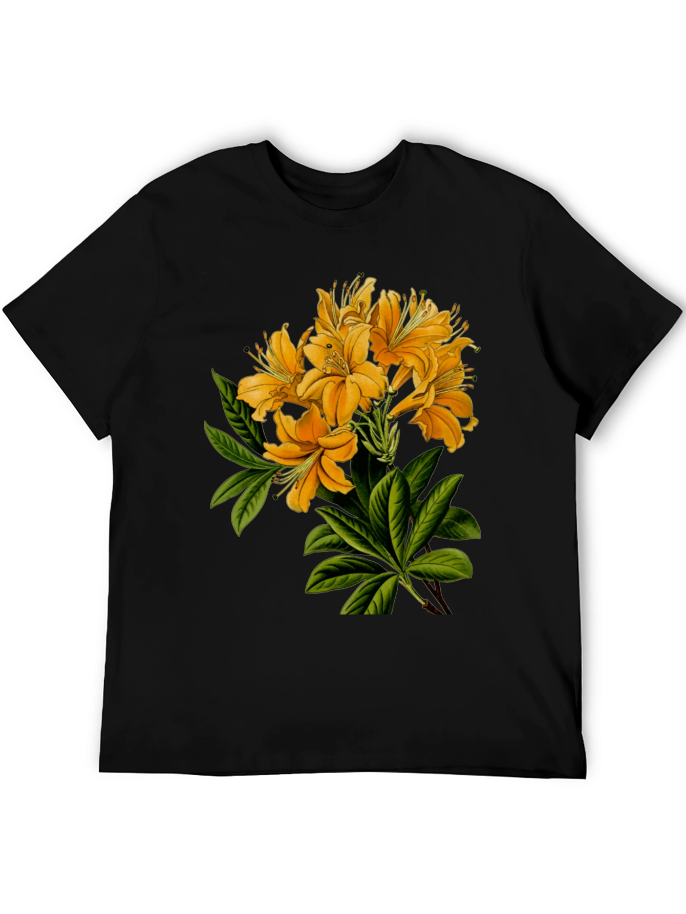 Black Floral Print Crew Neck T-Shirt view 5