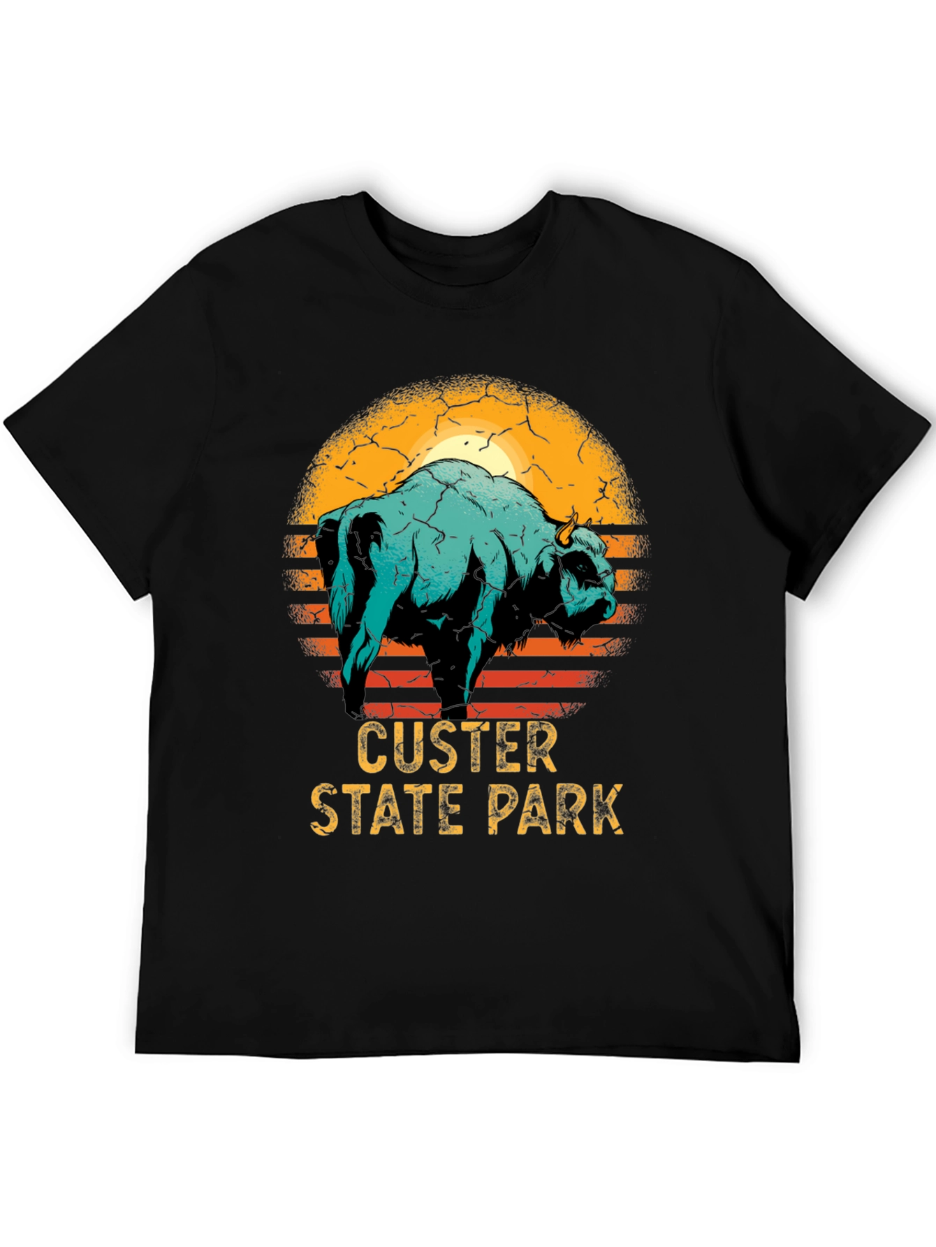 Black Custer State Park Bison Graphic T-Shirt view 5