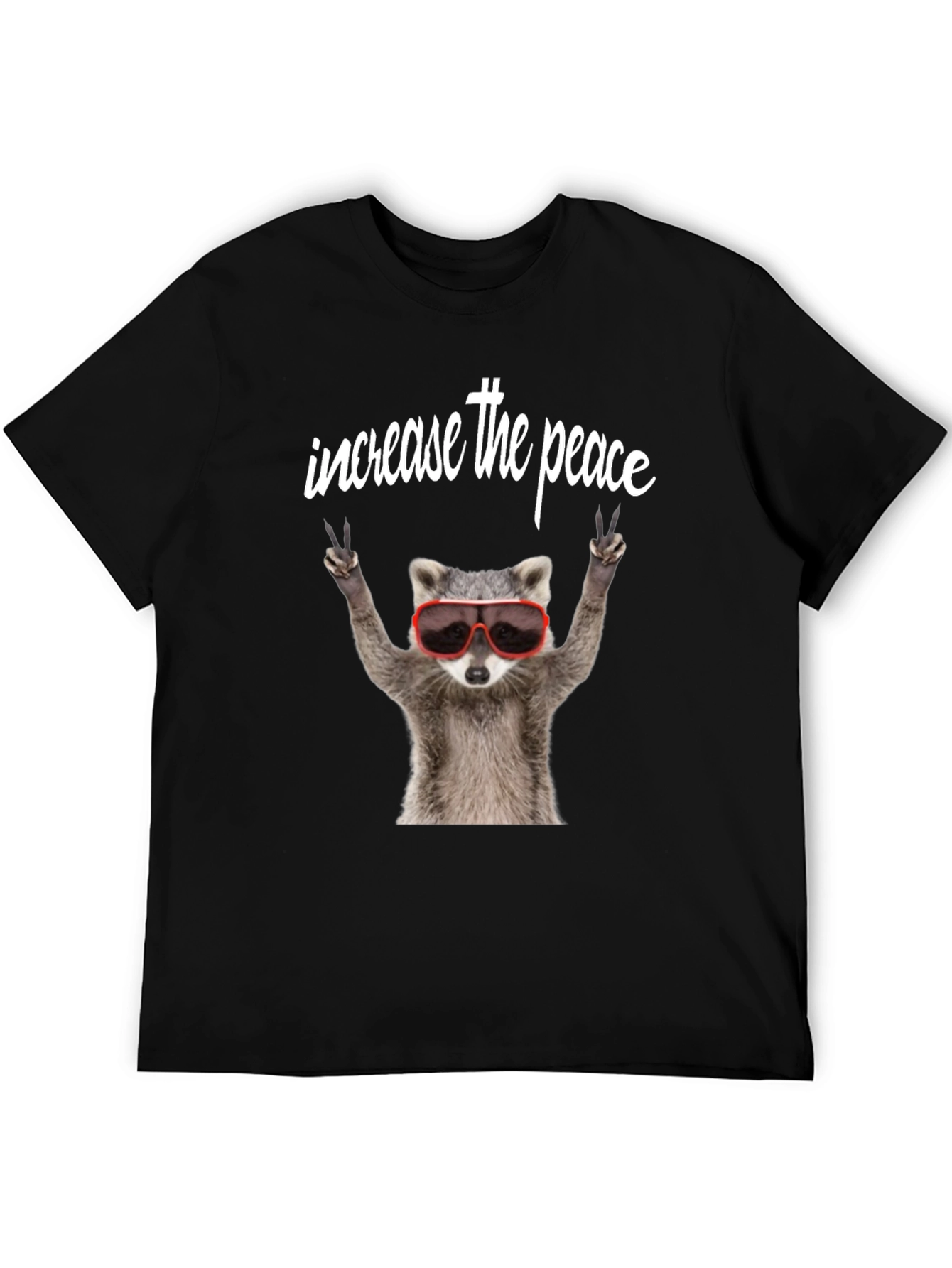 Black Peaceful Raccoon Graphic Tee view 5