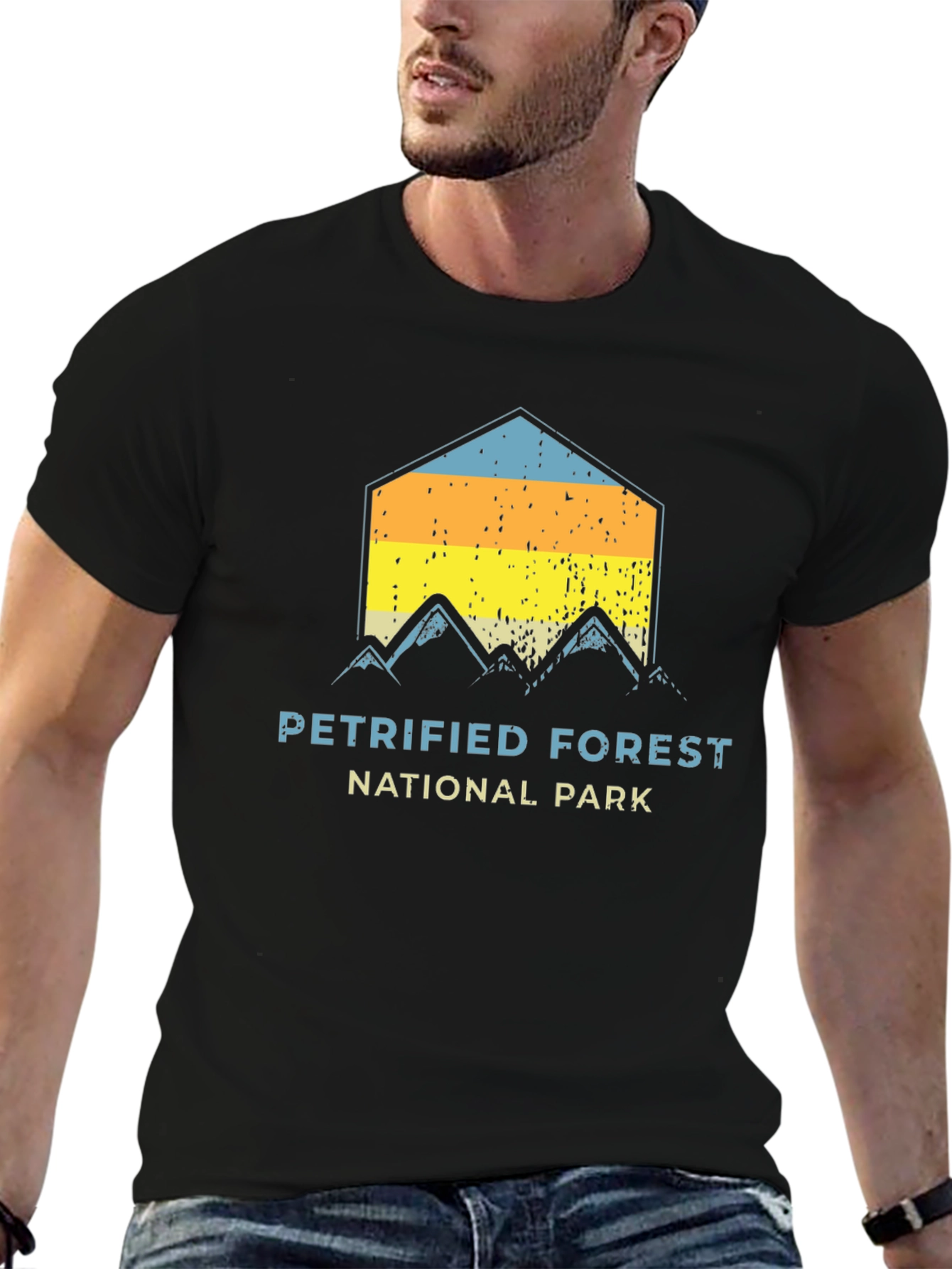 Black Petrified Forest National Park Graphic Tee view 6