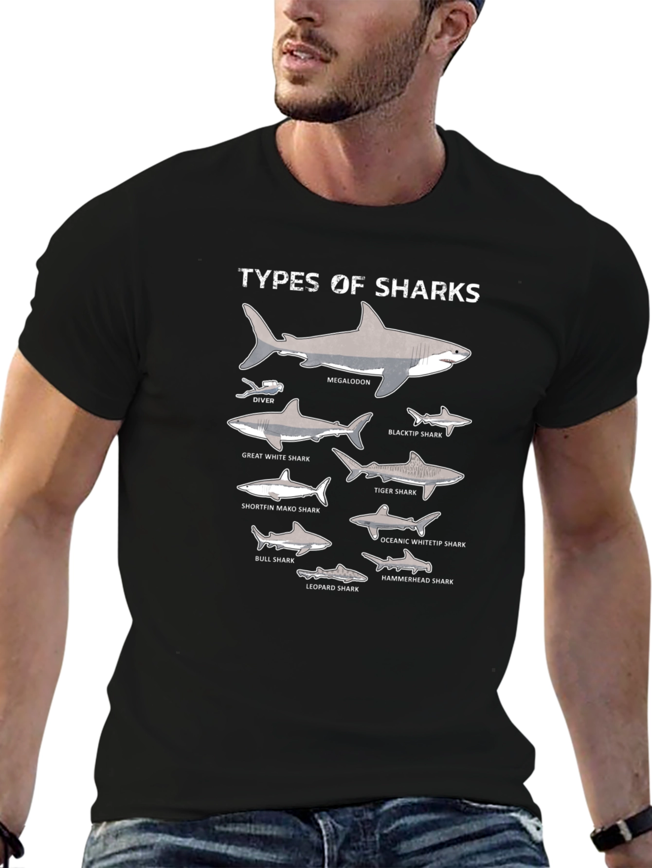 Black Types of Sharks Graphic T-Shirt view 6