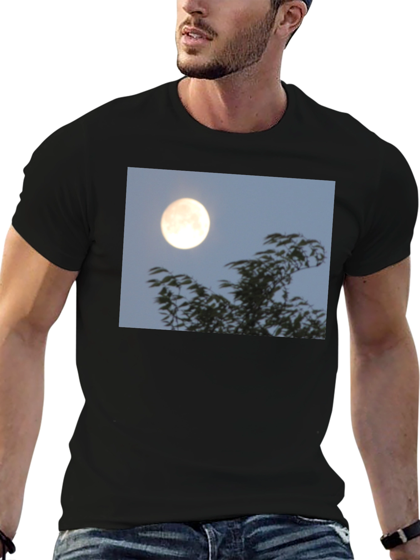 Black Moonlit Trees Graphic Tee - Black Cotton T-Shirt view 6