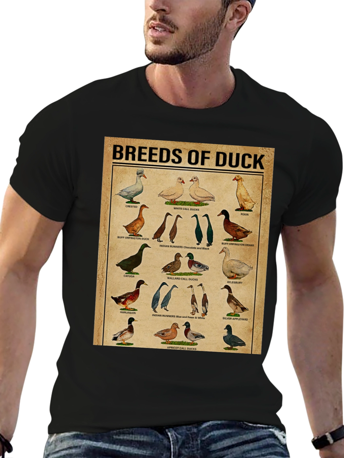 Black Breeds of Duck T-Shirt - Bird Lover Gift view 6