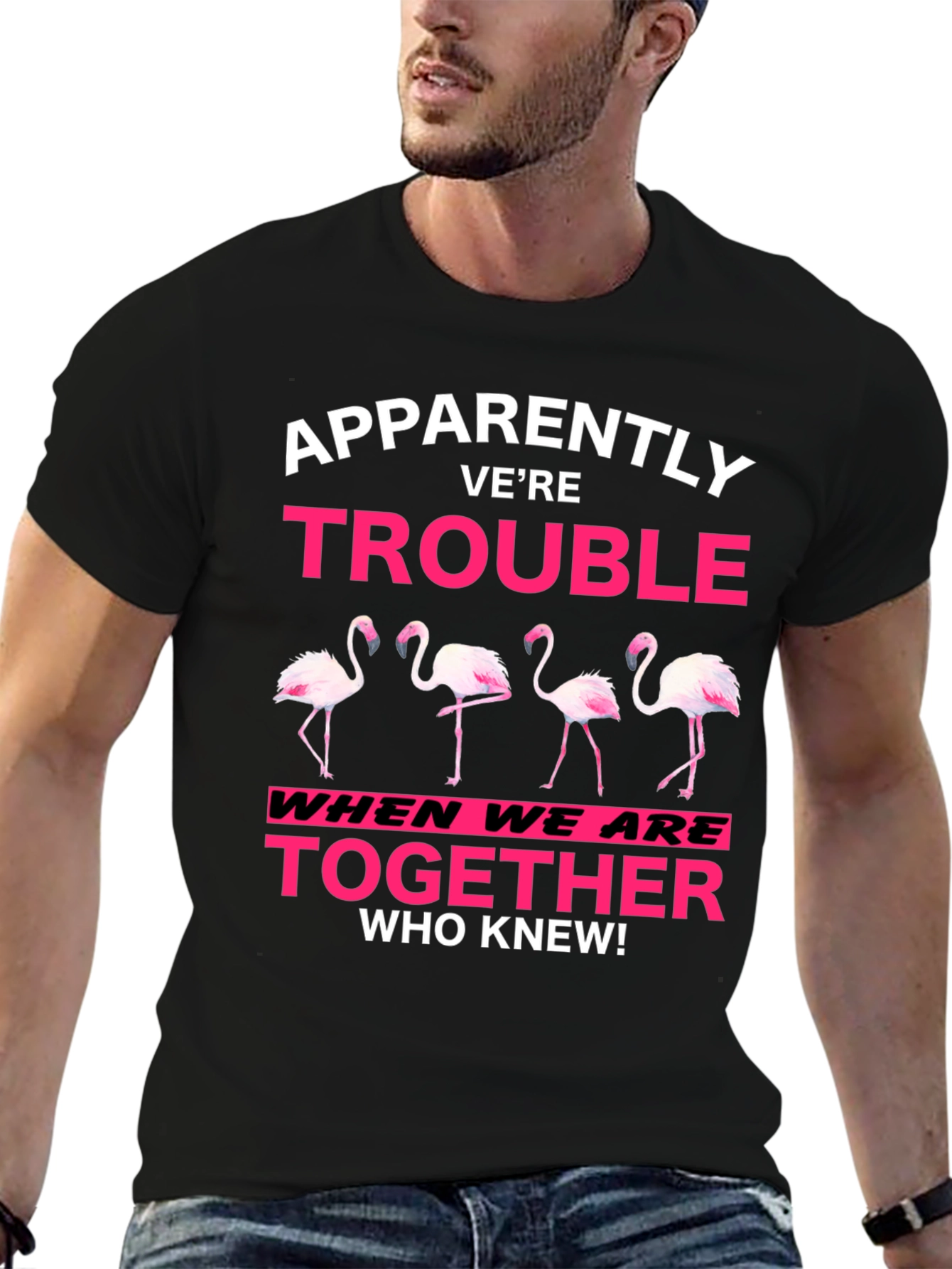Black Funny Flamingo Trouble Graphic T-Shirt view 6