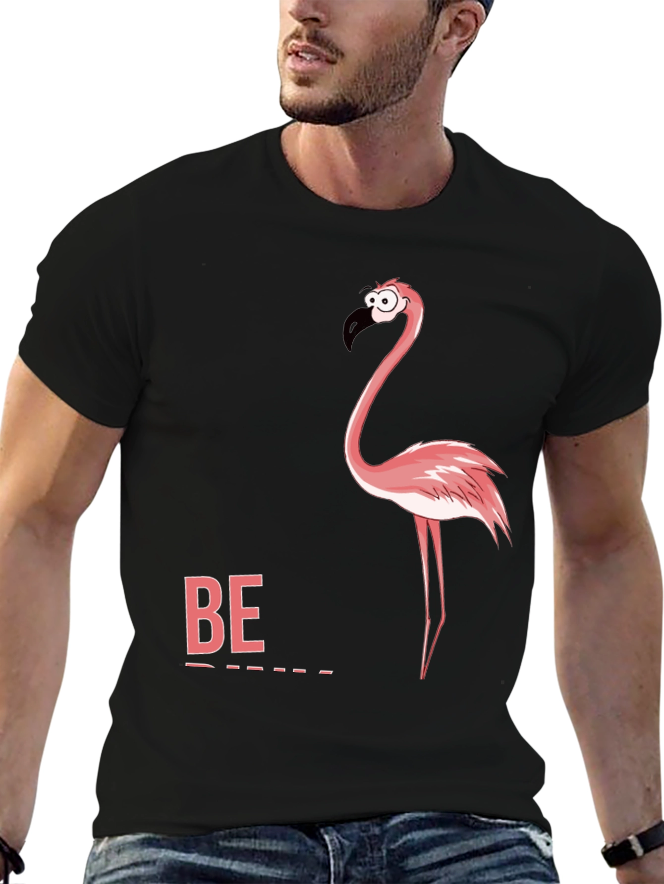 Black Funny Flamingo Graphic Tee - "Be" Shirt view 6
