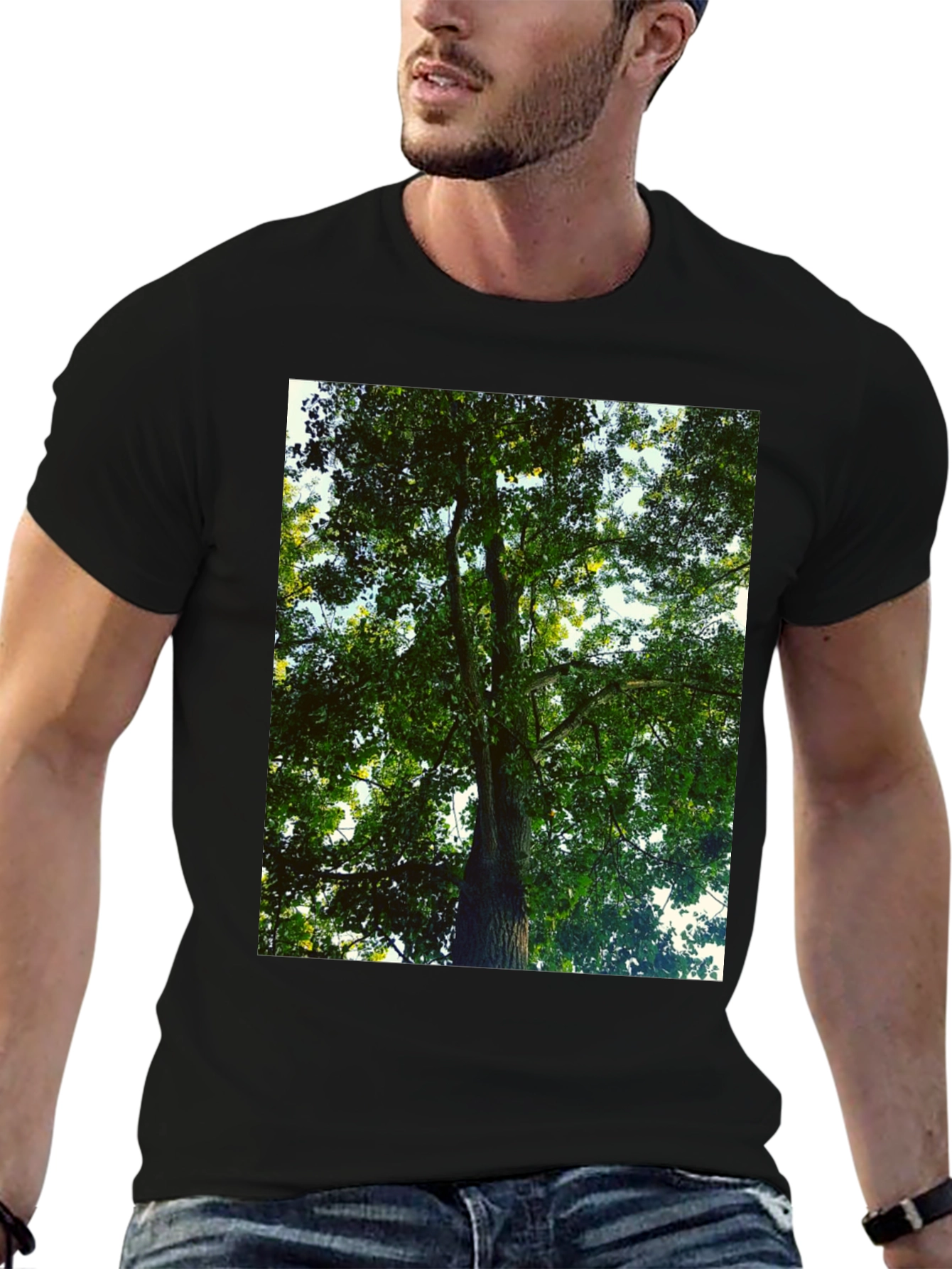 Black Nature Tree Graphic Tee - Black Cotton T-Shirt view 6