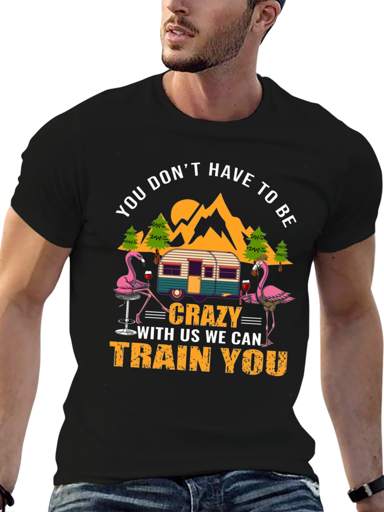 Black Flamingo Camper T-Shirt: You Don't Have to Be Crazy! view 6