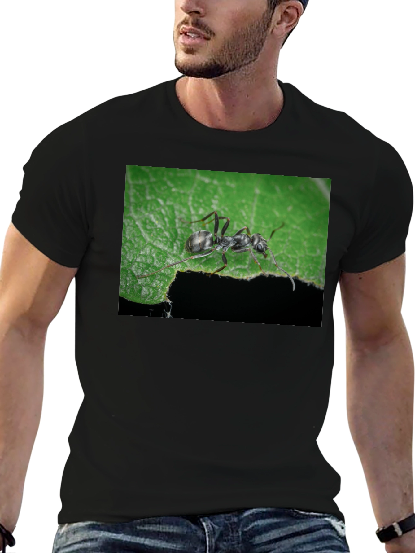 Black Ant on Leaf Graphic Tee - Nature Lover's T-Shirt view 6
