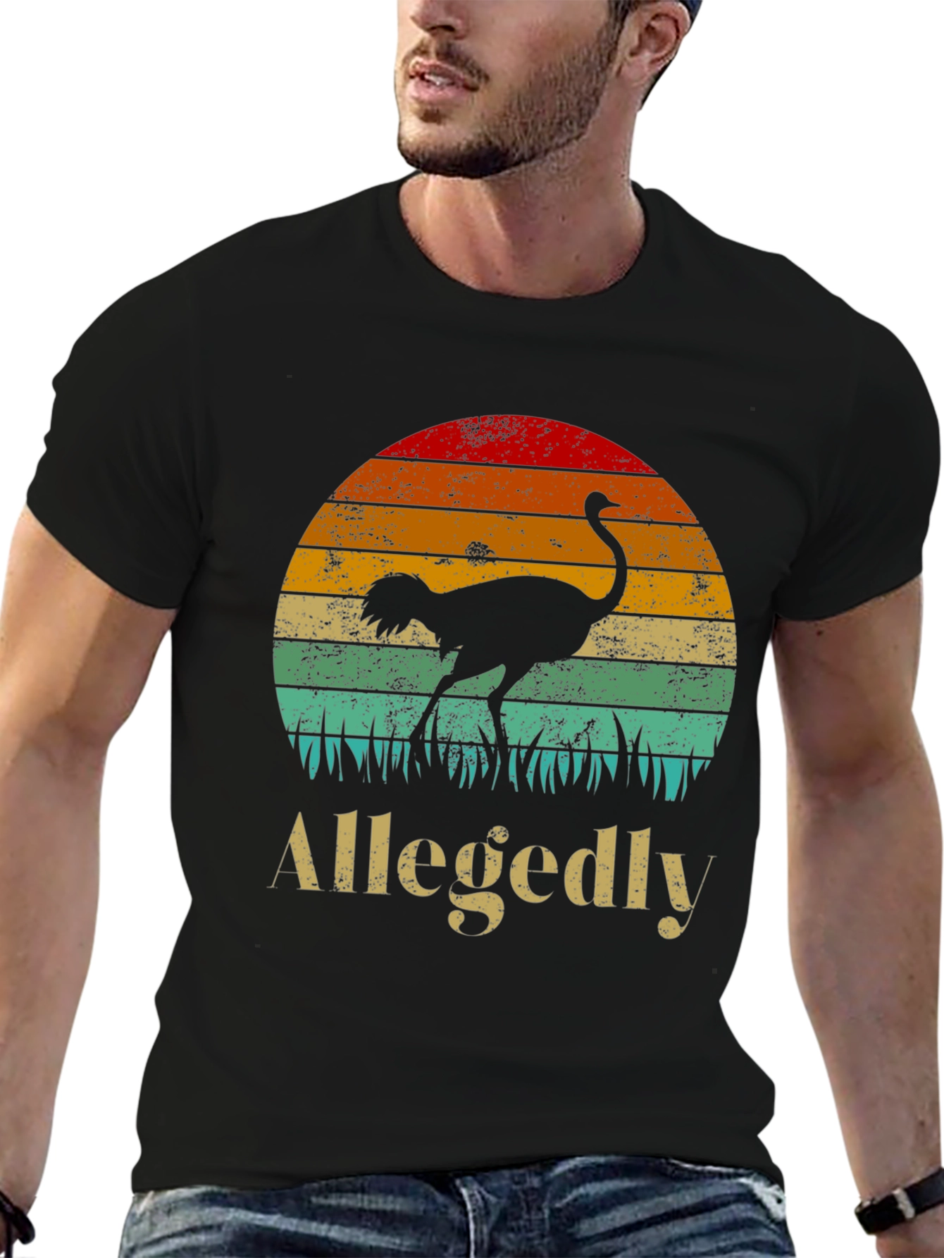 Black Allegedly Ostrich Sunset Graphic Tee view 6