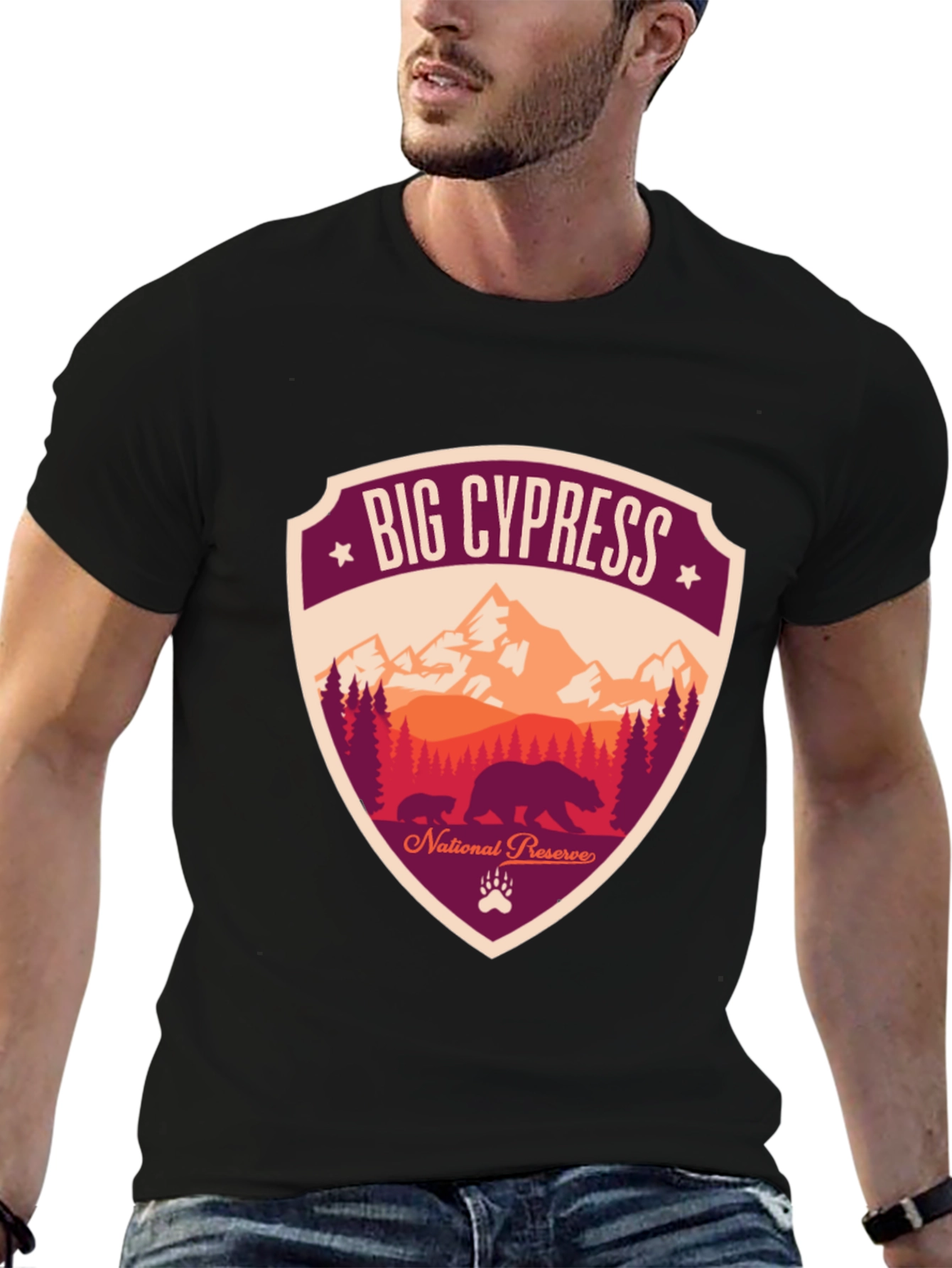Black Big Cypress National Preserve Graphic T-Shirt view 6