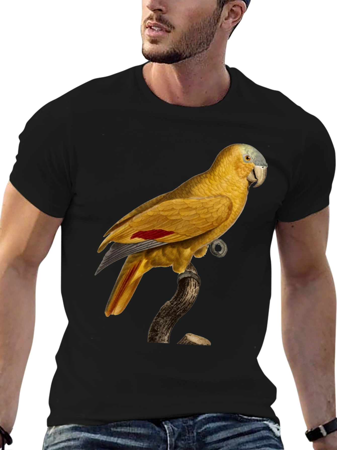 Black Parrot Graphic Black T-Shirt view 6