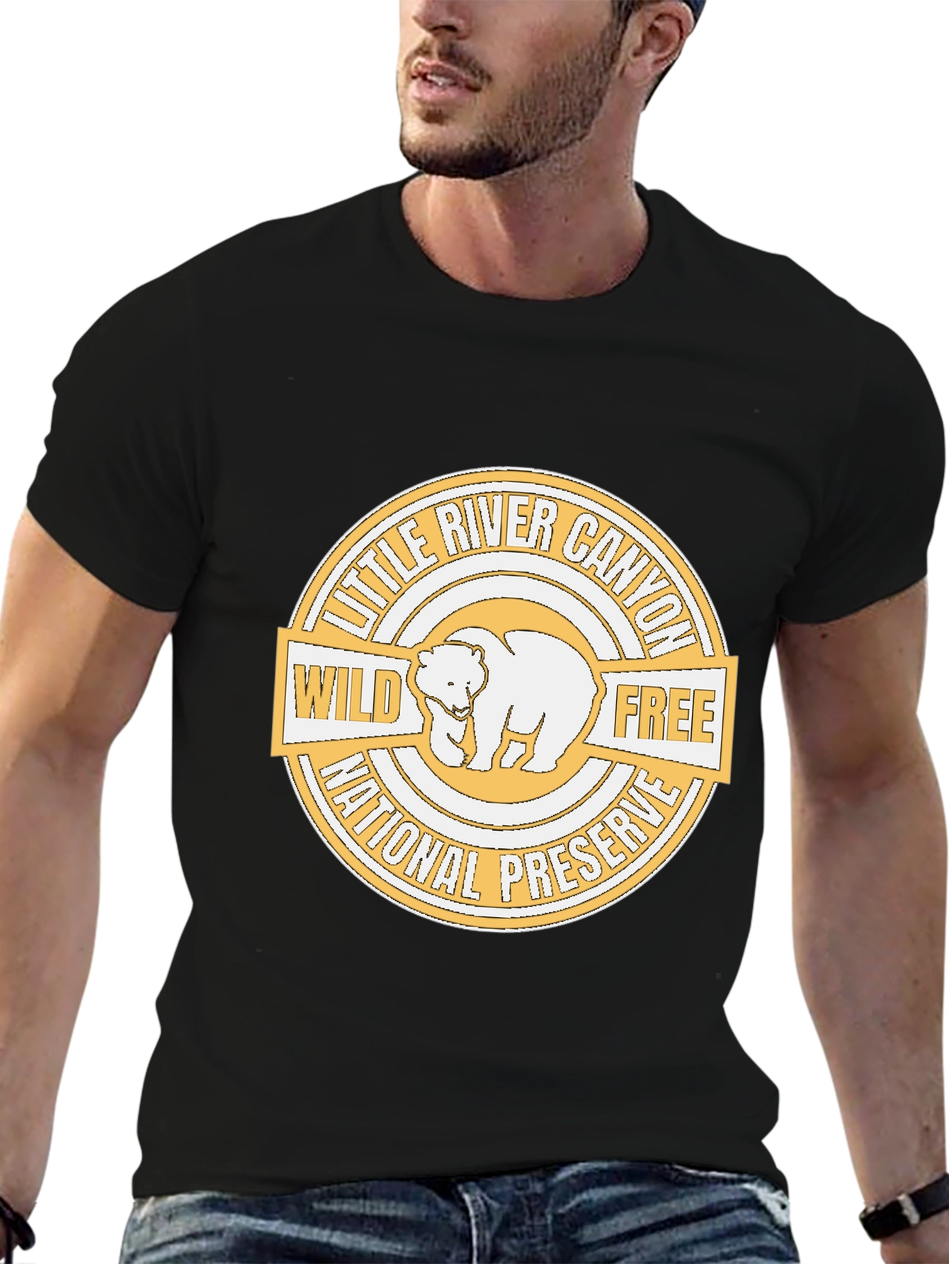 Black Little River Canyon T-Shirt - Wild & Free National Preserve view 6