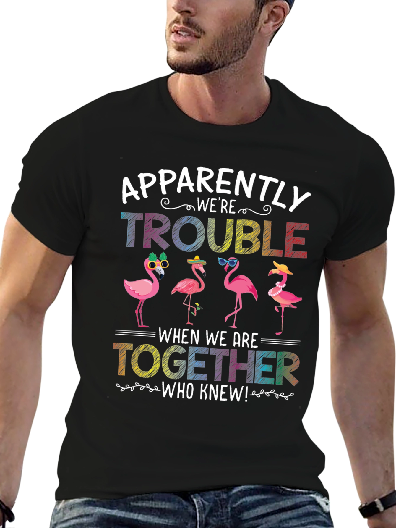 Black Flamingo Trouble Graphic T-Shirt view 6