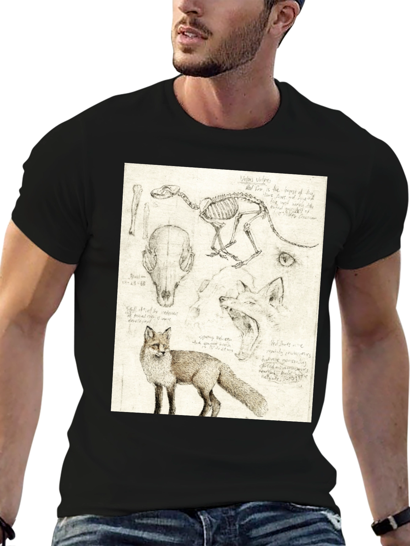 Black Anatomical Fox Print Tee - Artistic Unisex T-Shirt view 6