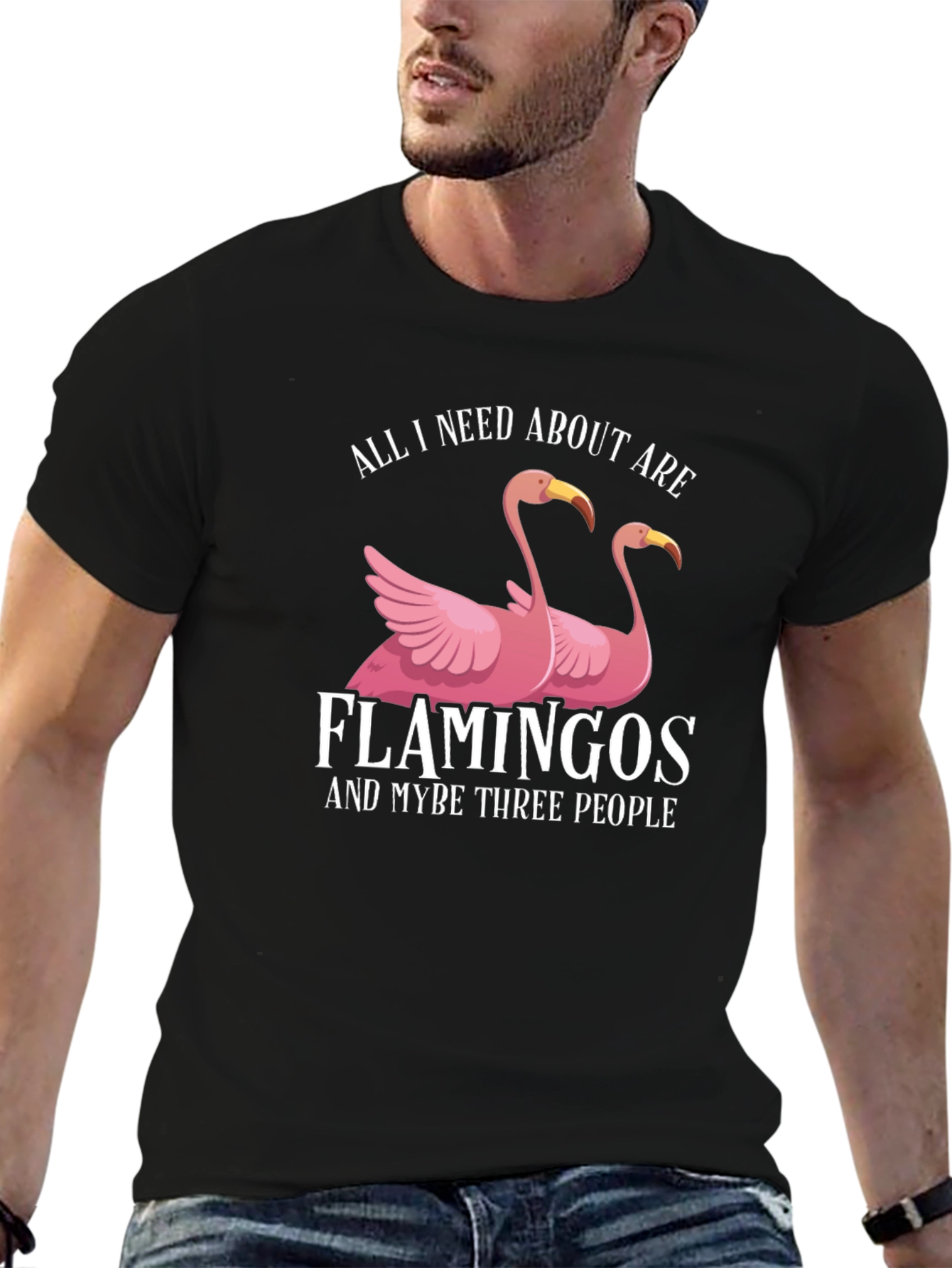 Black Funny Flamingo T-Shirt: All I Need Is Flamingos view 6
