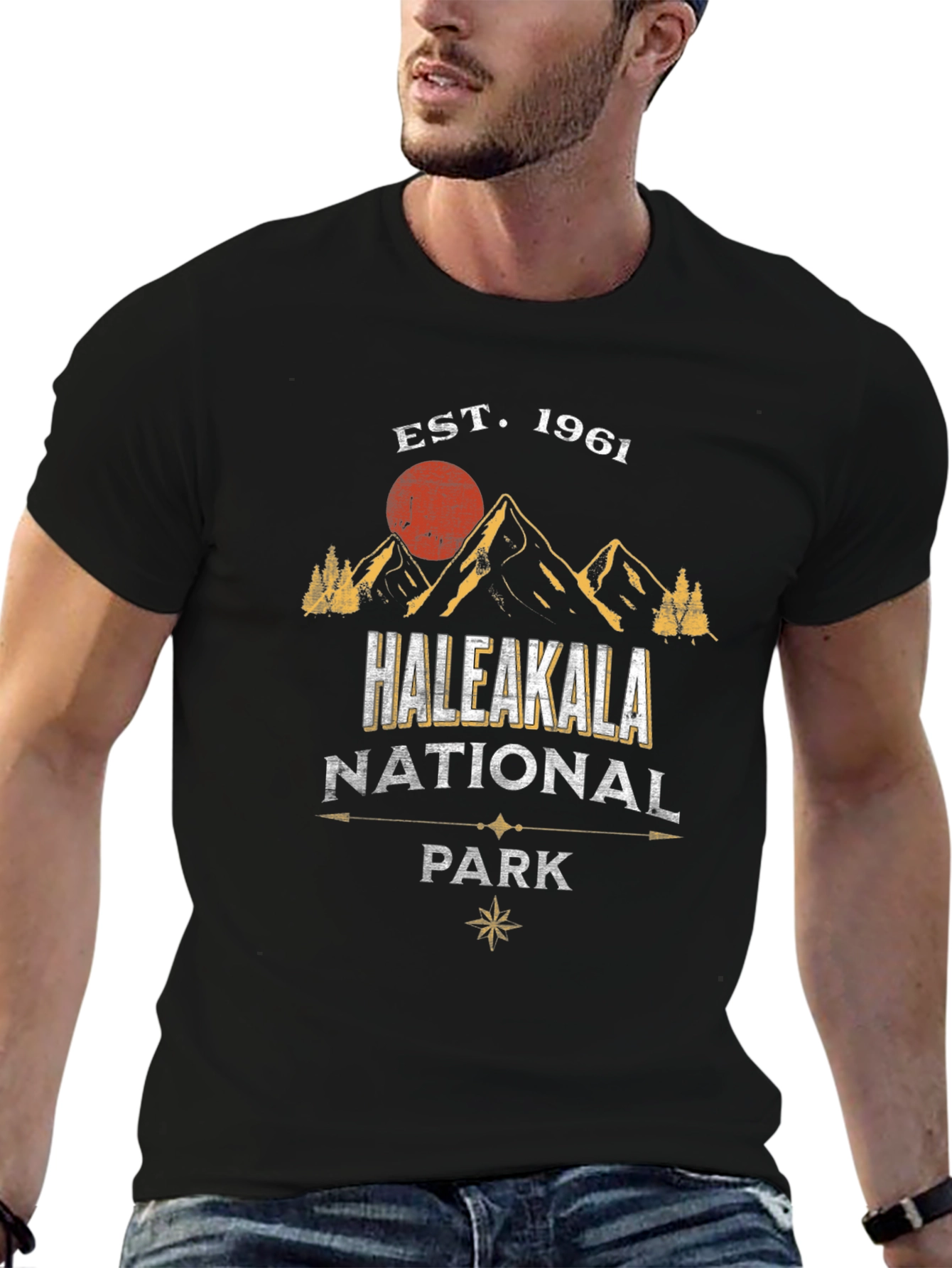 Black Haleakala National Park T-Shirt, Est. 1961 view 6
