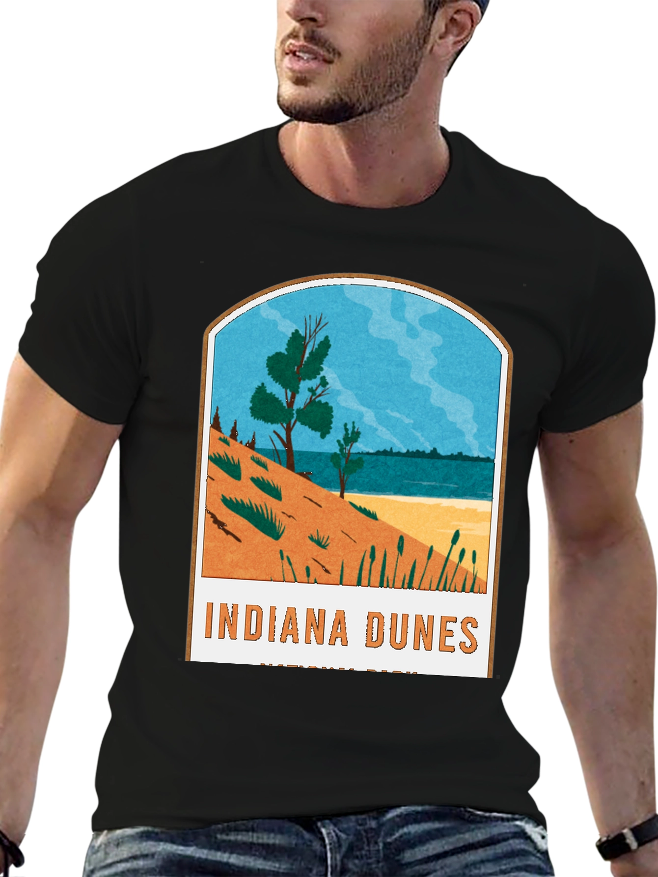 Black Indiana Dunes National Park Graphic Tee view 6