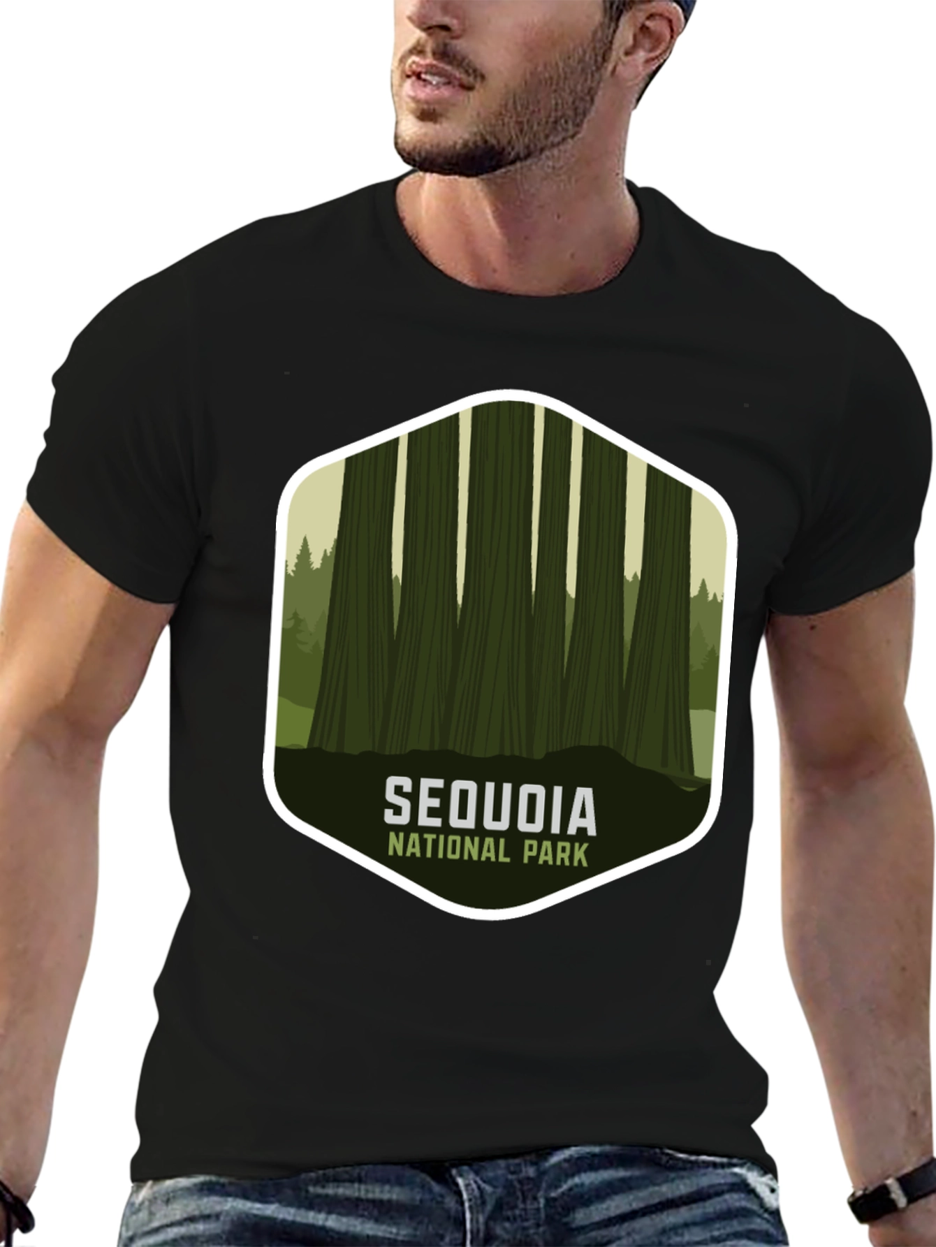 Black Sequoia National Park Graphic Tee - Black view 6