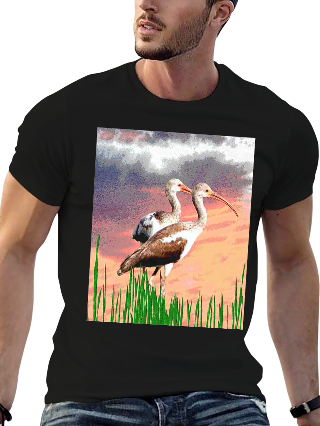 Black Ibis Bird Graphic Print Black T-Shirt view 6