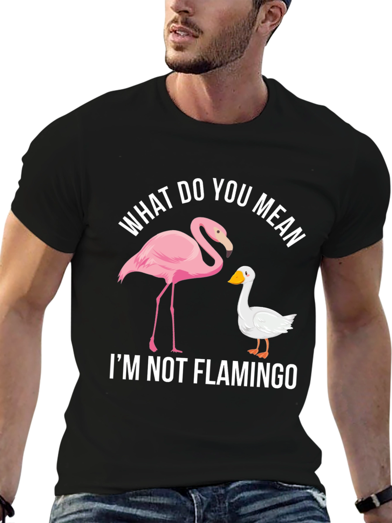 Black Funny "I'm Not Flamingo" Graphic Tee view 6