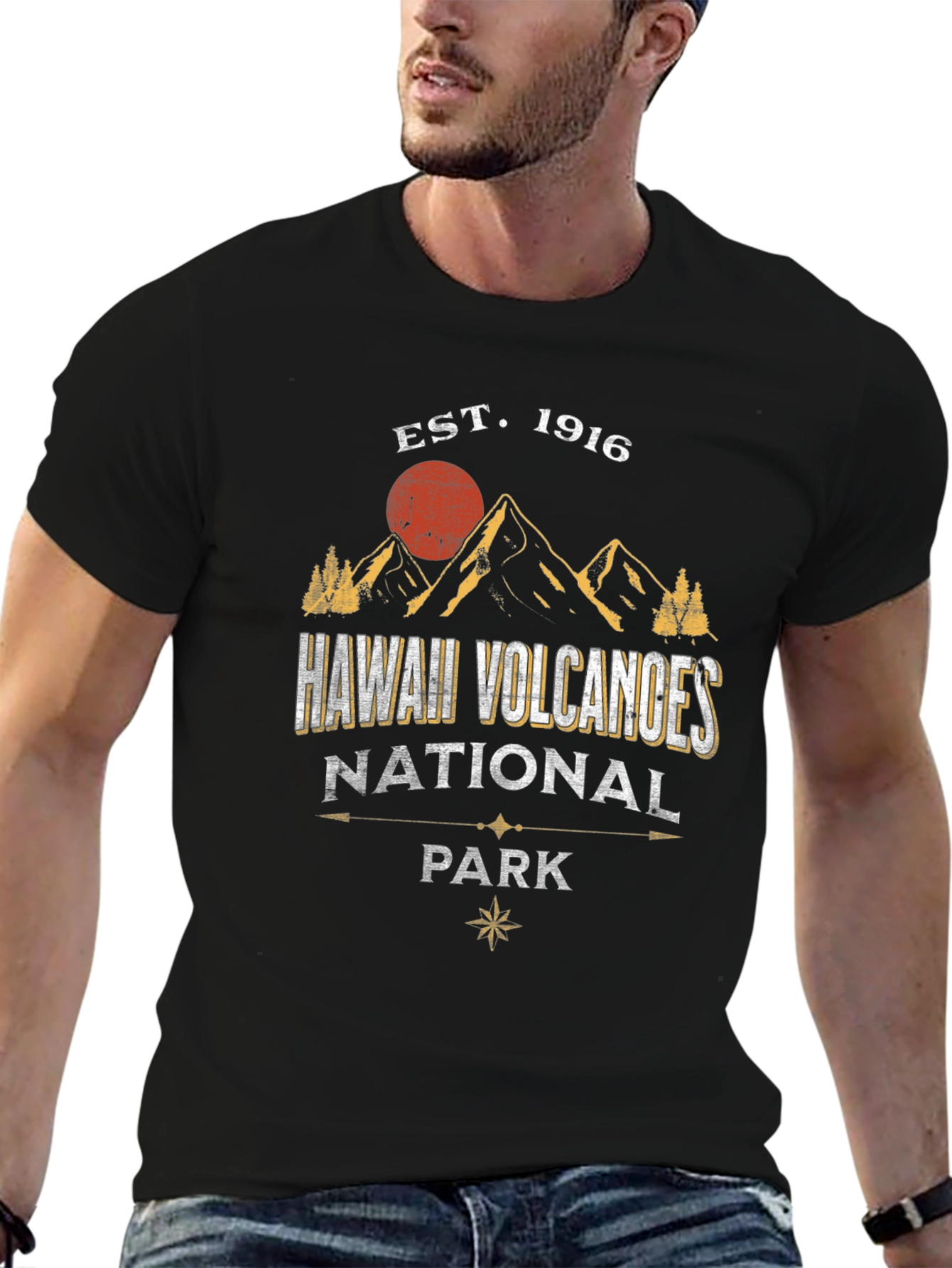 Black Hawaii Volcanoes National Park Graphic Tee view 6