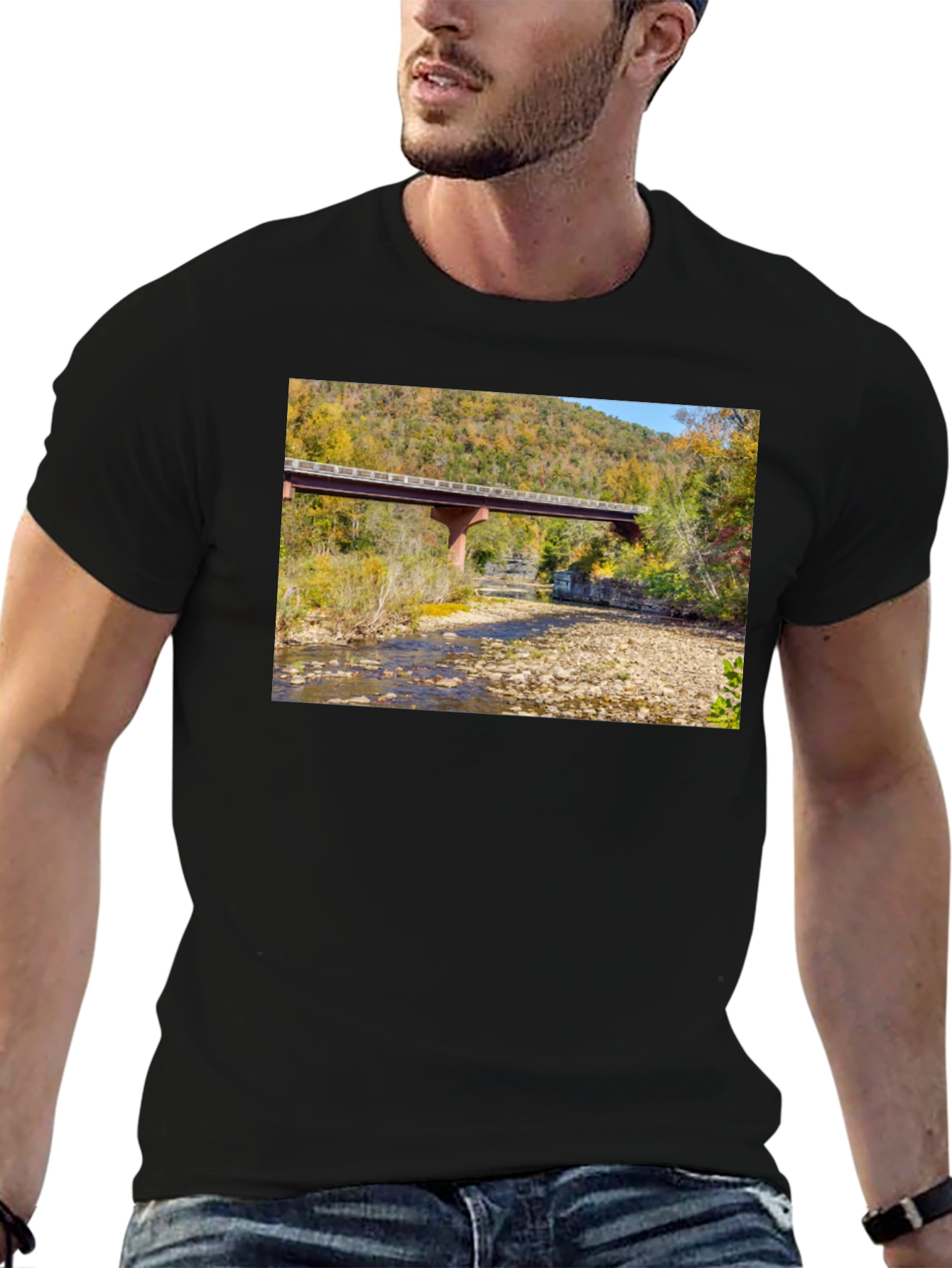 Black Nature Bridge Graphic Tee - Black Cotton Blend view 6