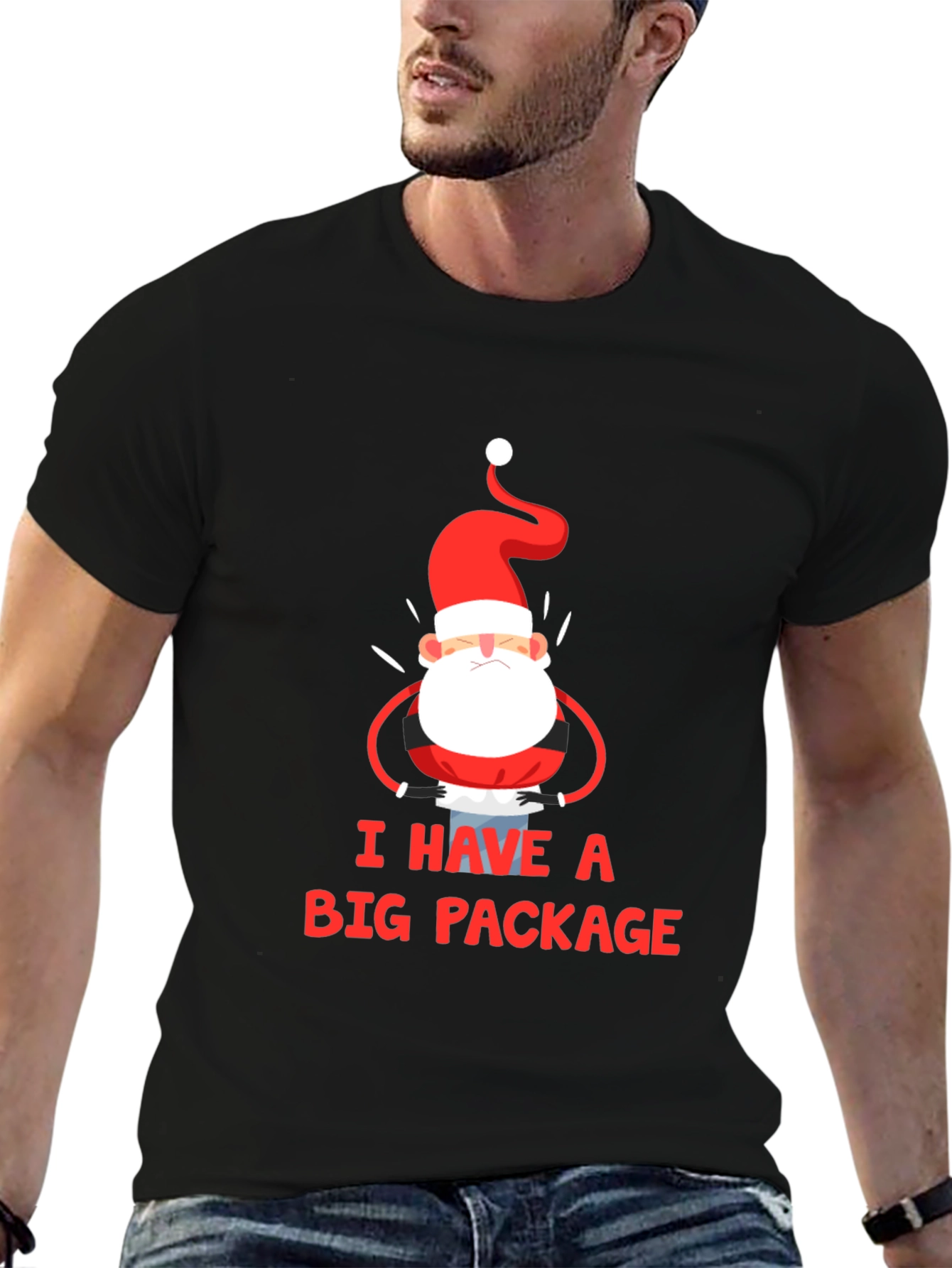 Black I Have a Big Package Graphic Tee Santa Christmas Holiday Shirt view 6
