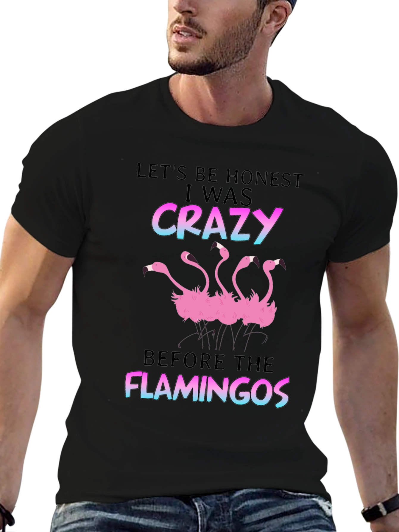 Black Crazy Before Flamingos T-Shirt - Black view 6