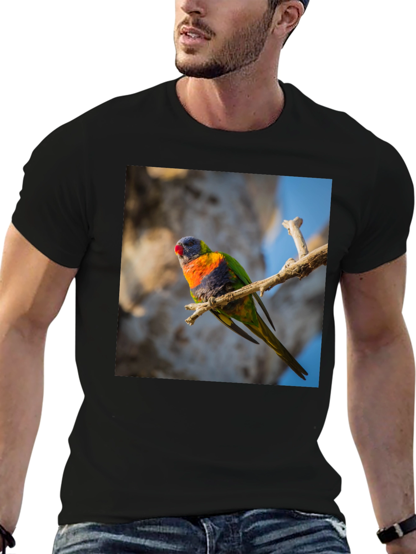 Black Rainbow Lorikeet T-Shirt - Nature Inspired Apparel view 6