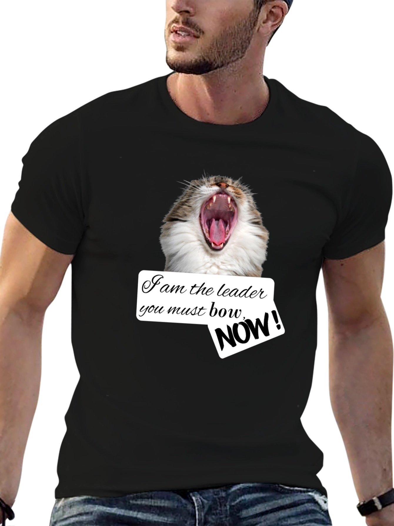 Black Funny Cat T-Shirt - I am the Leader Bow NOW! - Black view 6
