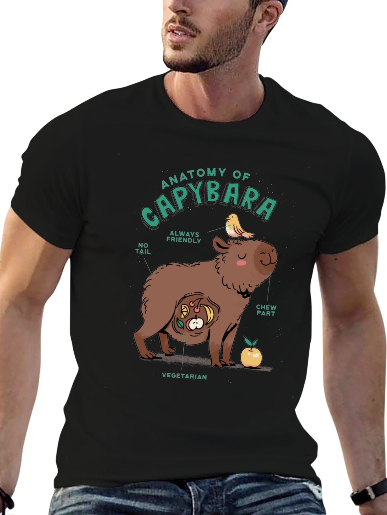 Black Anatomy of a Capybara Graphic T-Shirt view 6