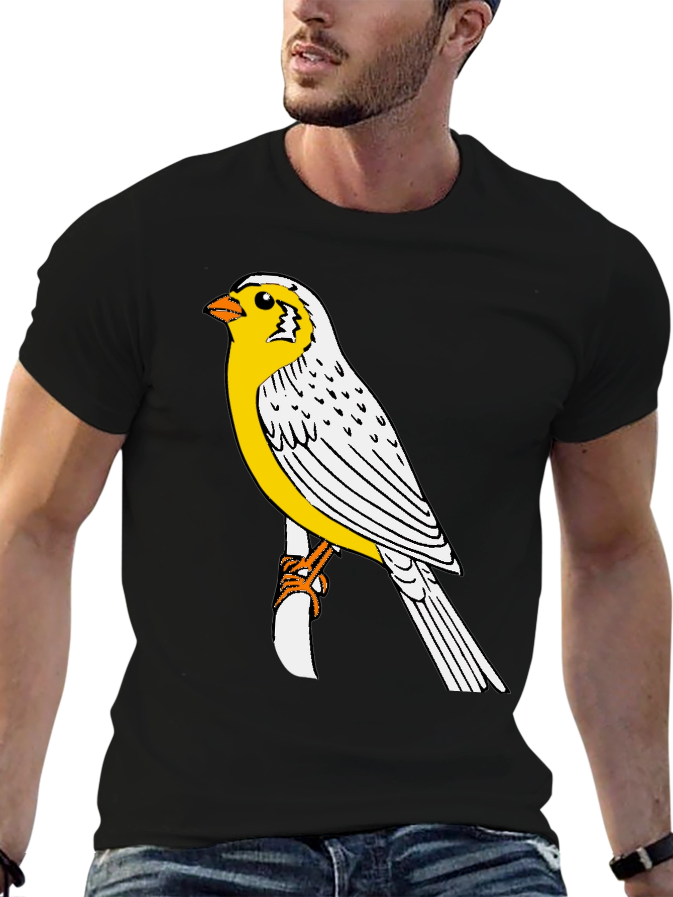 Black Canary Bird Graphic T-Shirt - Black Casual Tee view 6